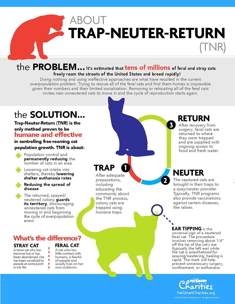 TNR-Infographic.jpg