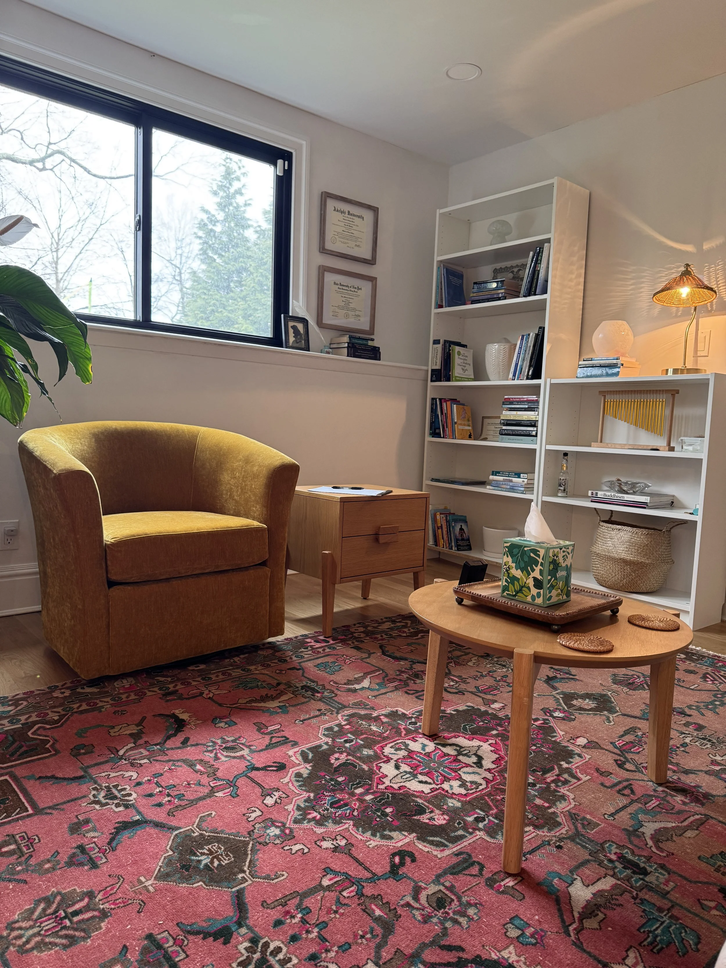 therapist's chair, view, and bookcase