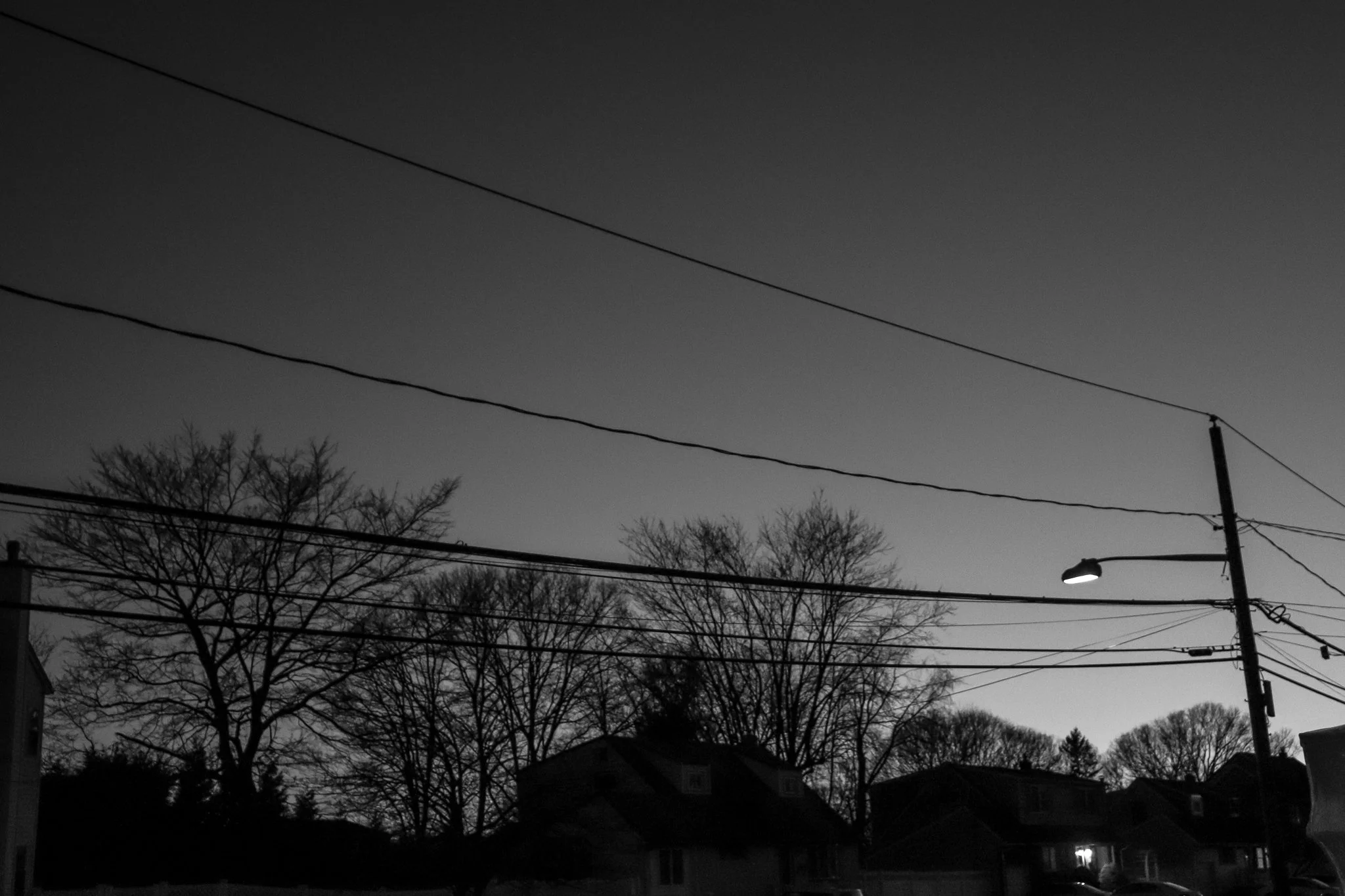 black and white-2.jpg