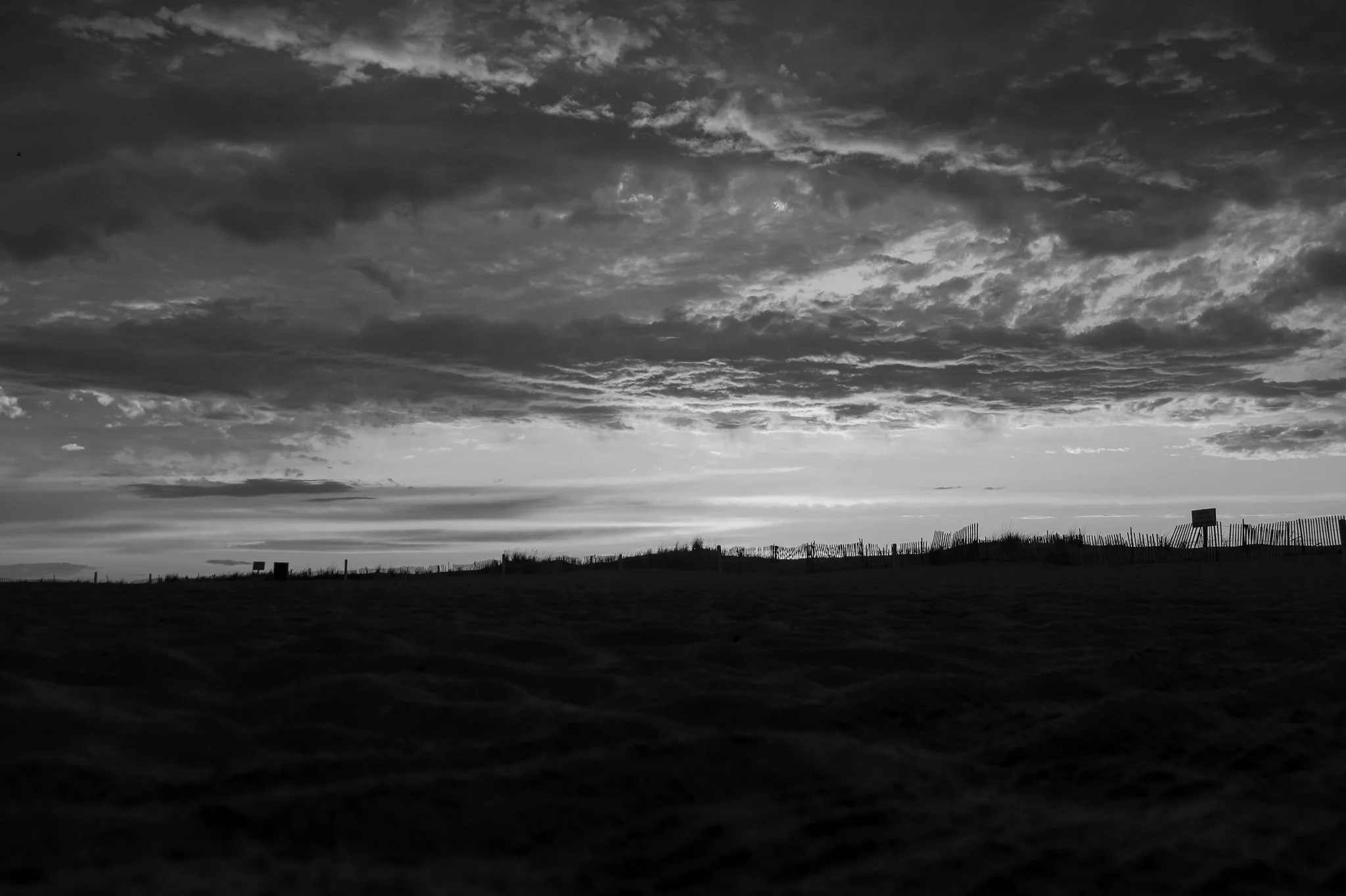 black and white-3.jpg