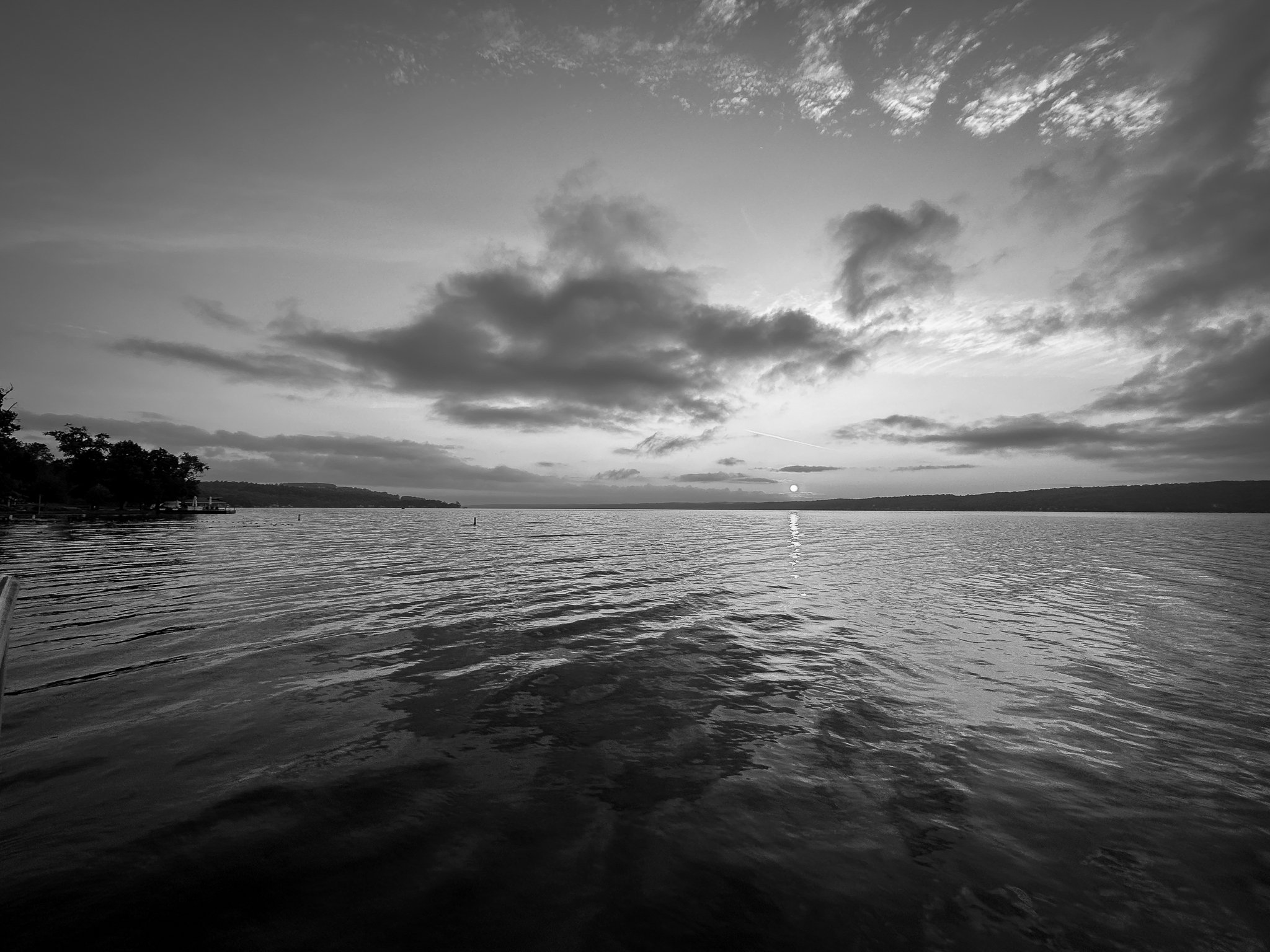 black and white-5.jpg