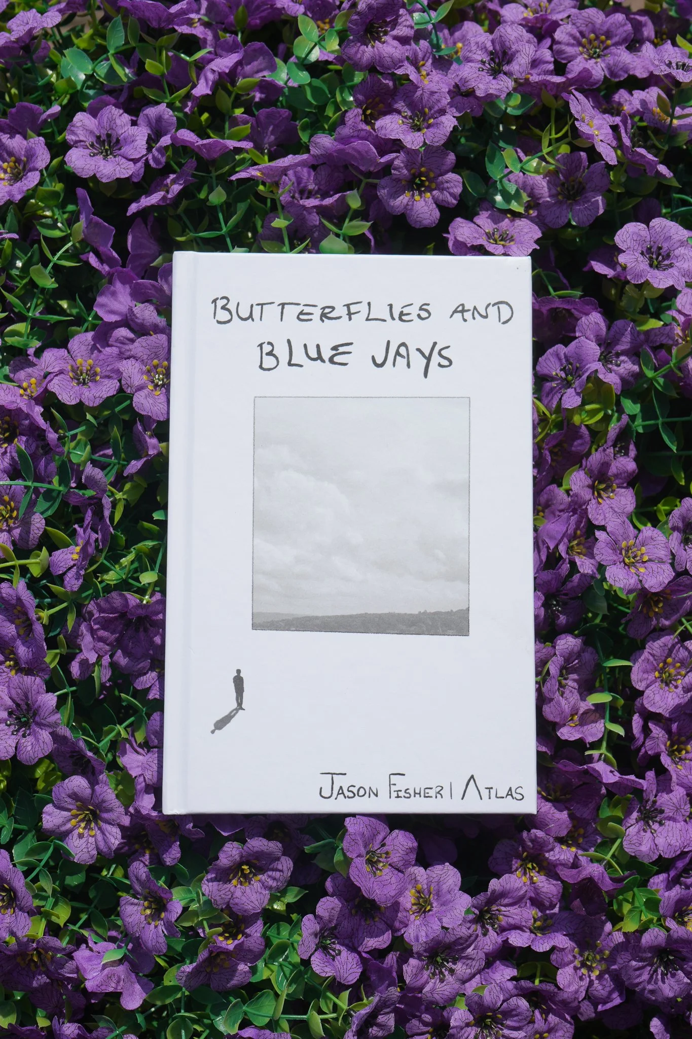 Butterflies and Blue Jays