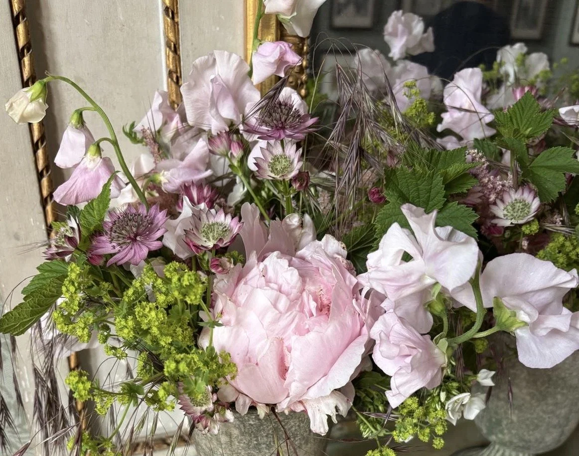 dda564b2-065c-4e99-8ef9-d24472db580f.jpg (Copy)