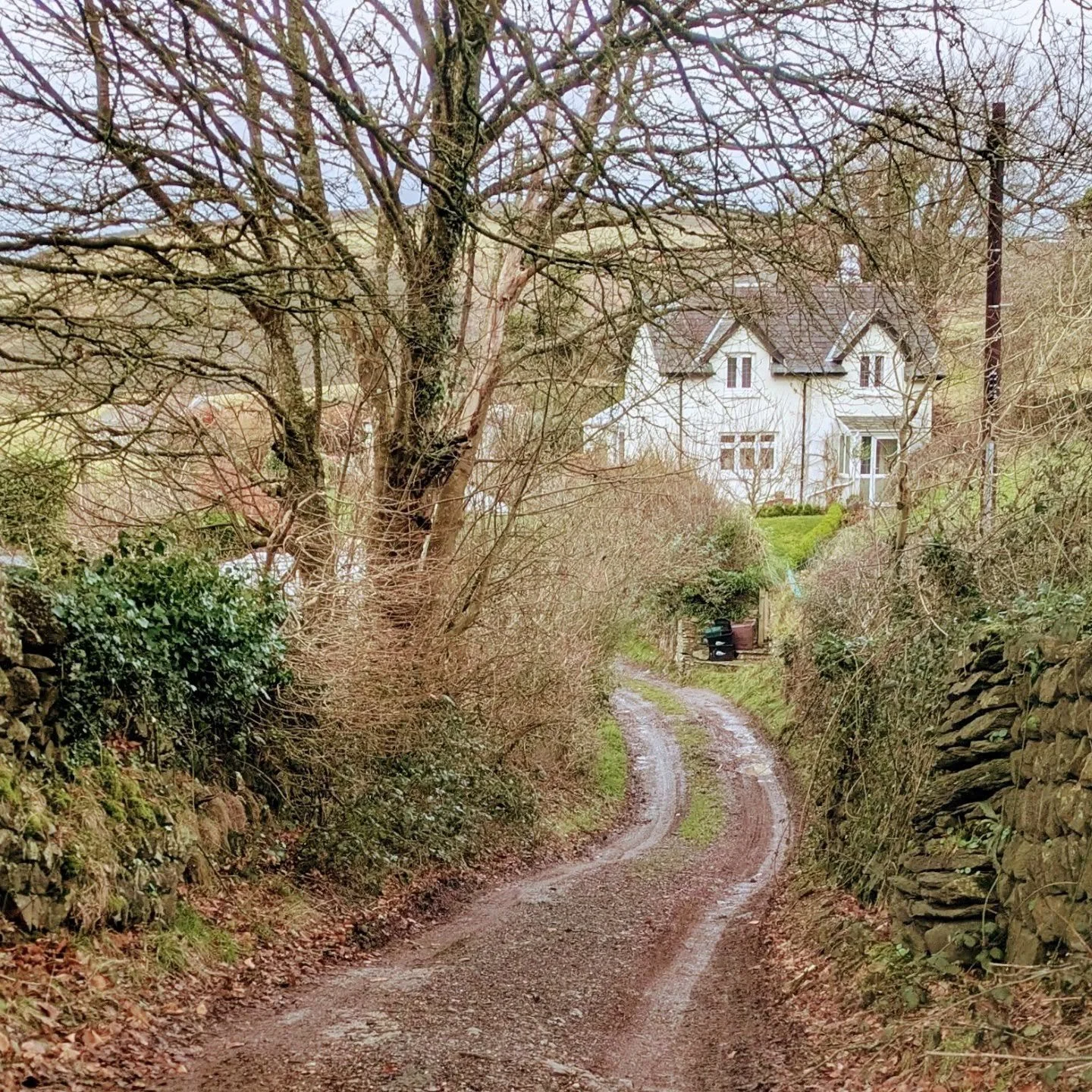Planning submitted.

A ground and first floor extension to a remote cottage high up on a hillside in Exmoor National Park. Amazing garden views towards the tree canopy of the Watersmeet valley (East Lyn River).

The proposal removes a number of poorl