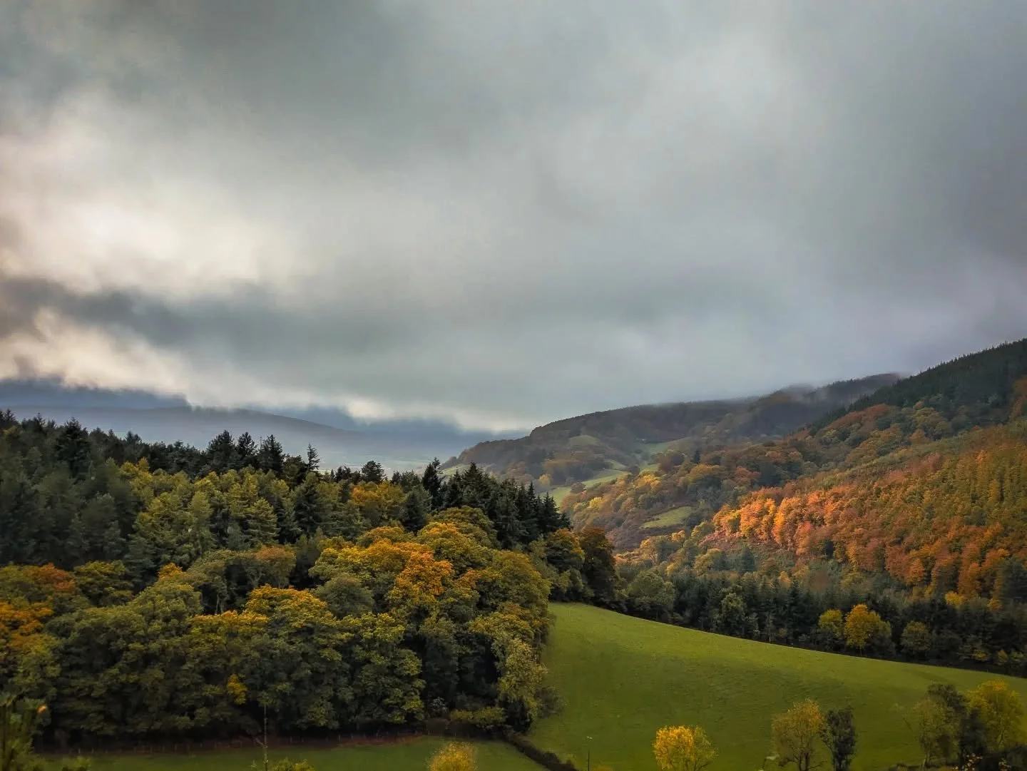 A few more from today's MTB ride.