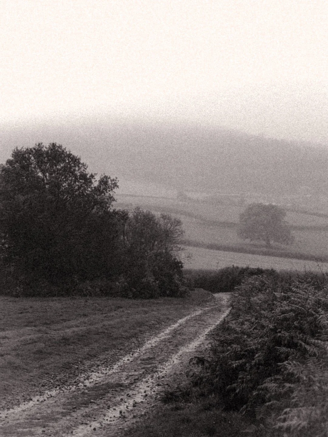 Practising composition on an MTB ride over the local hills. 

Time is very tight so seeing what can be achieved with a Google Pixel 7a and some lightroom jiggery pokery (my own adjustments, not pre made filters).