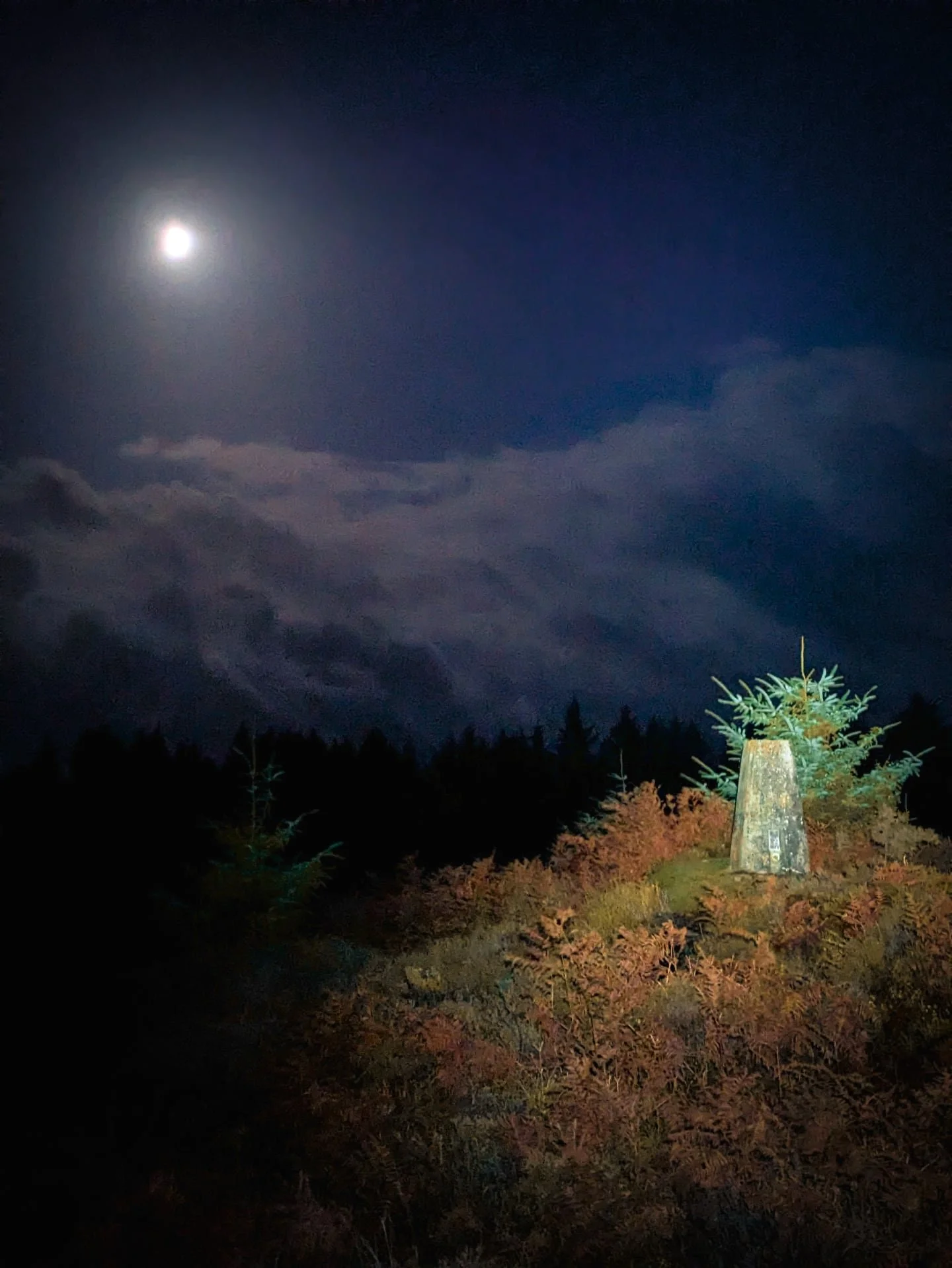 A short MTB ride up to Black Hill trig to clear the head.