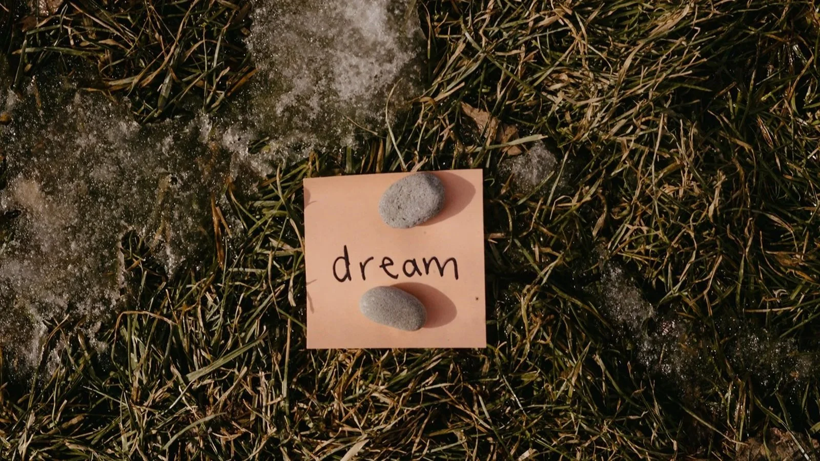 Did you Budget for Personal Growth This Year?