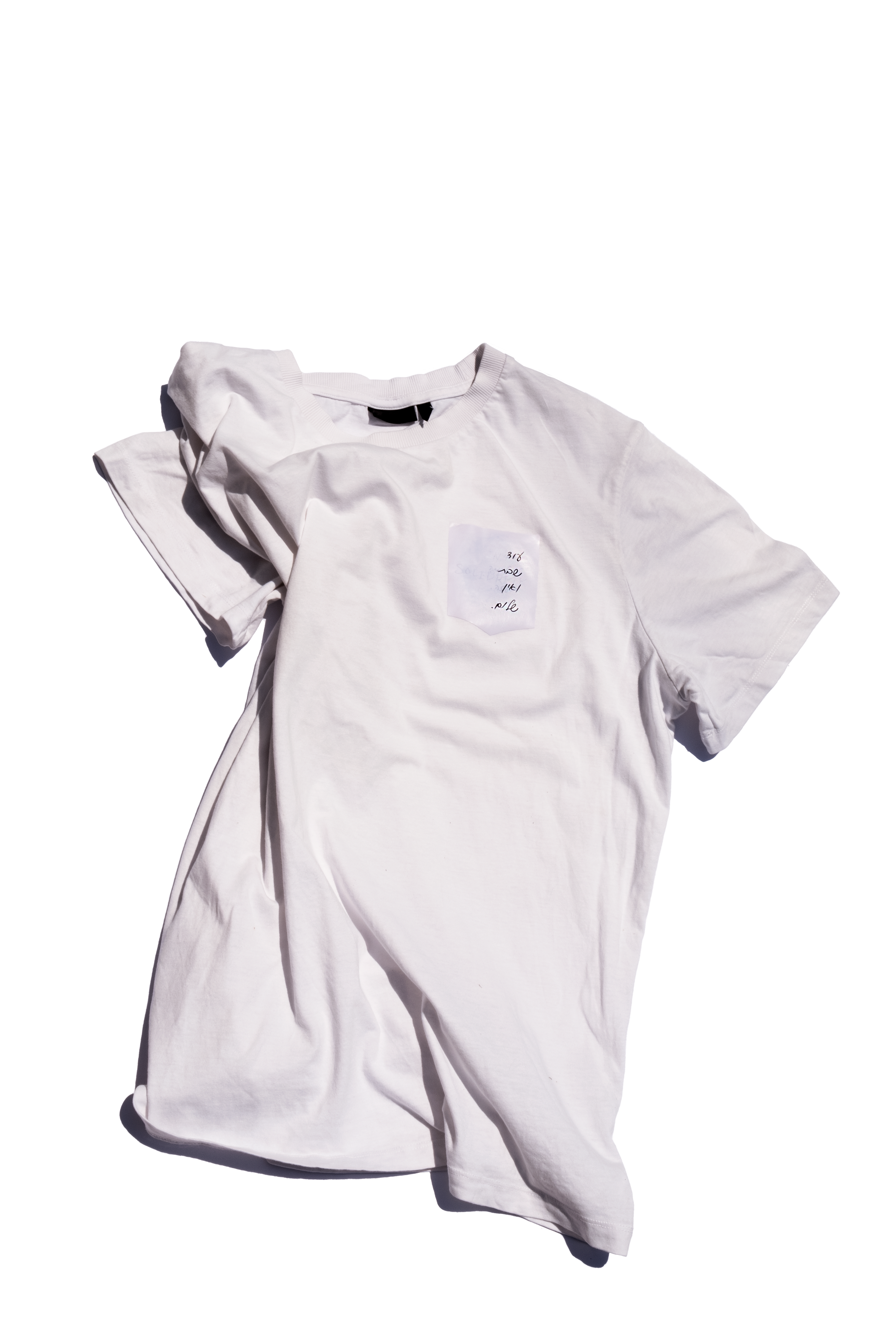 A-Monumental by Galit Barak, detail view