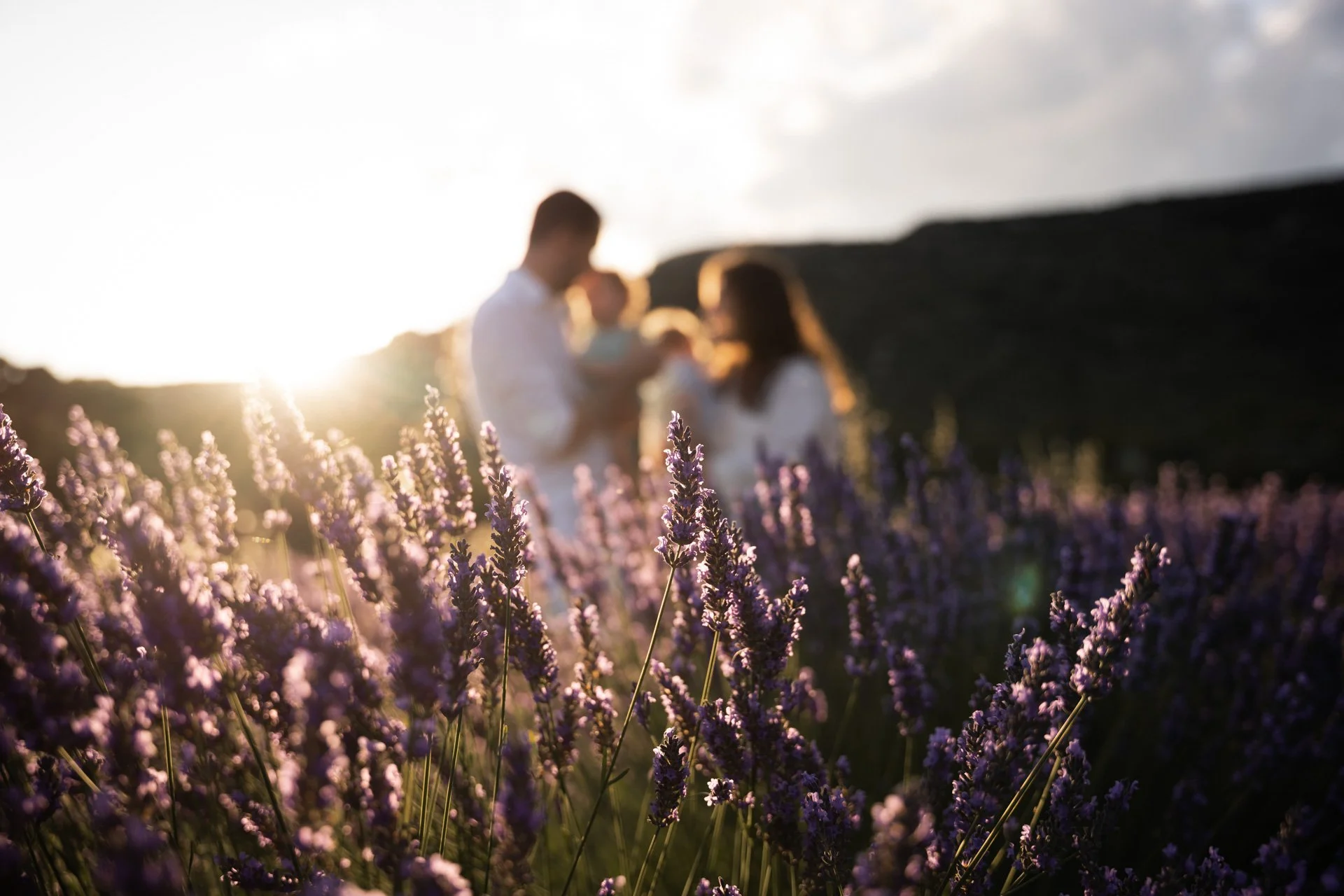 Séance photo dans les lavandes en Provence