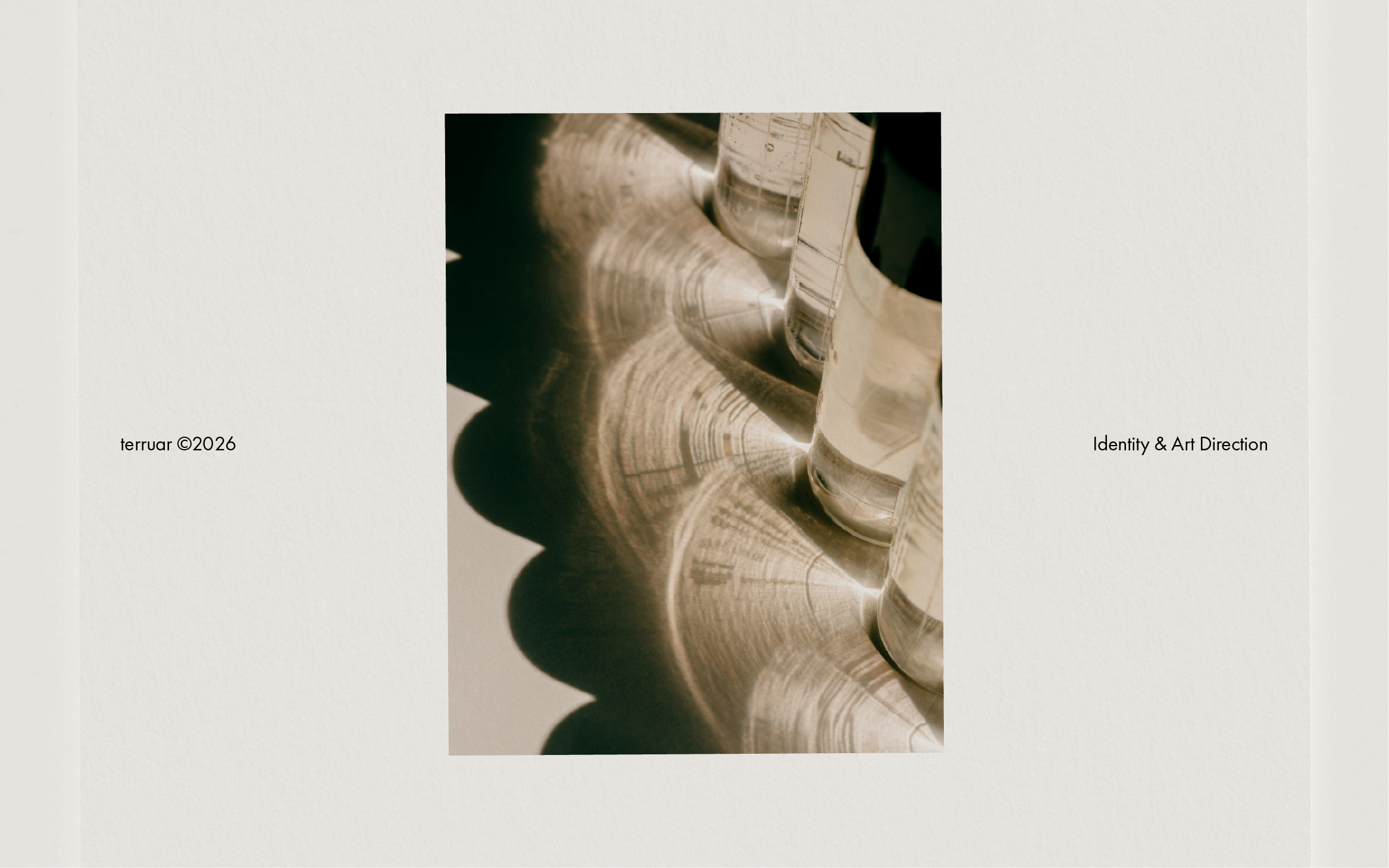 terruar-web-02.png