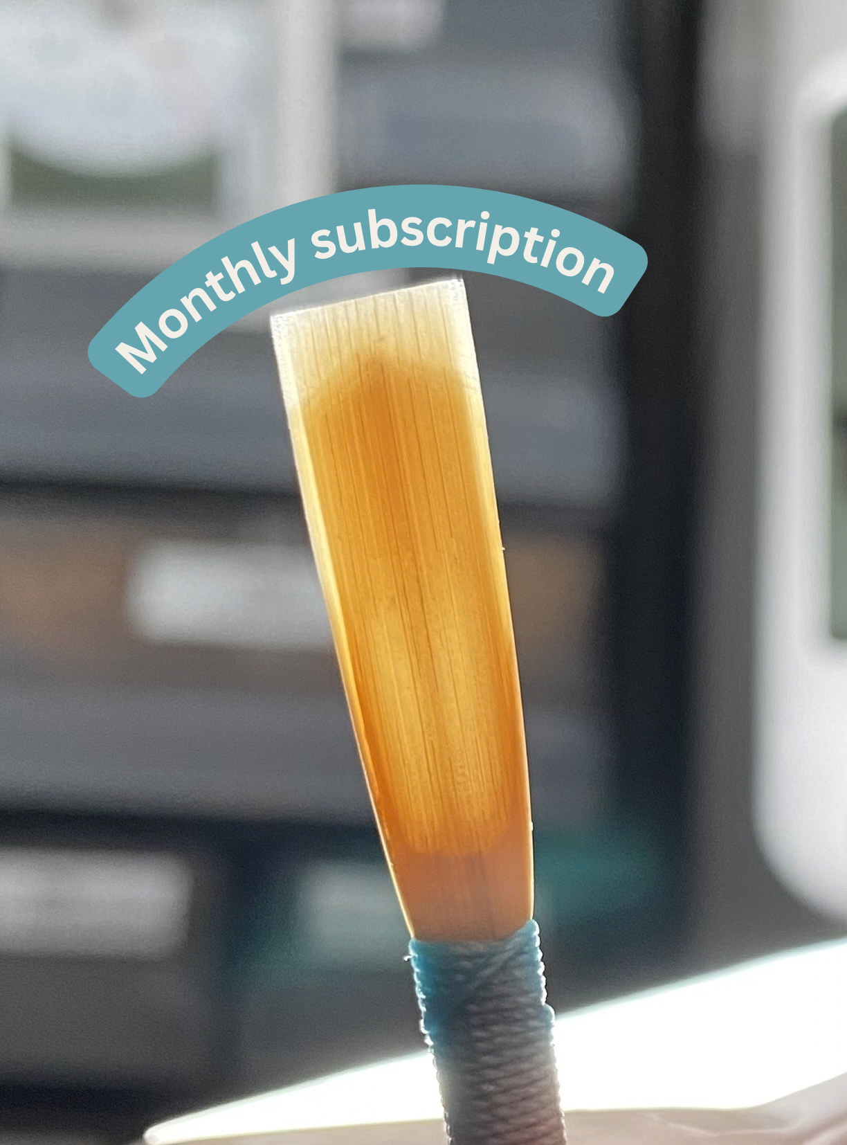 Monthly subscription.png