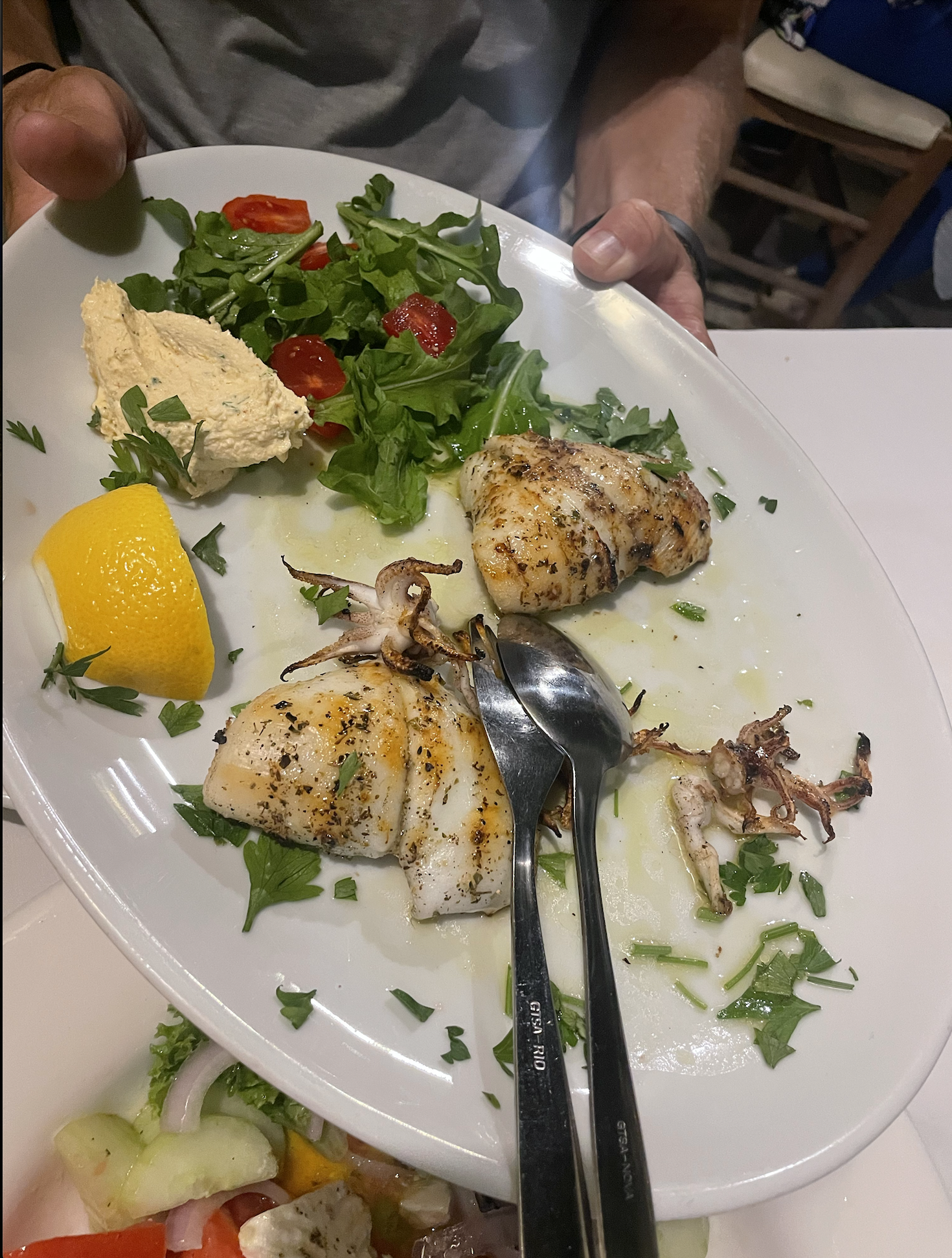 GRILLED SQUID