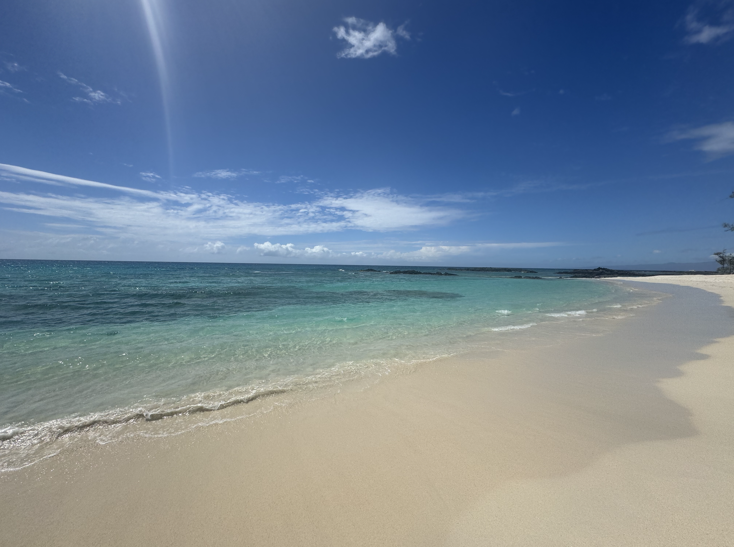 Screenshot 2024-10-02 at 2.23.09 PM.png