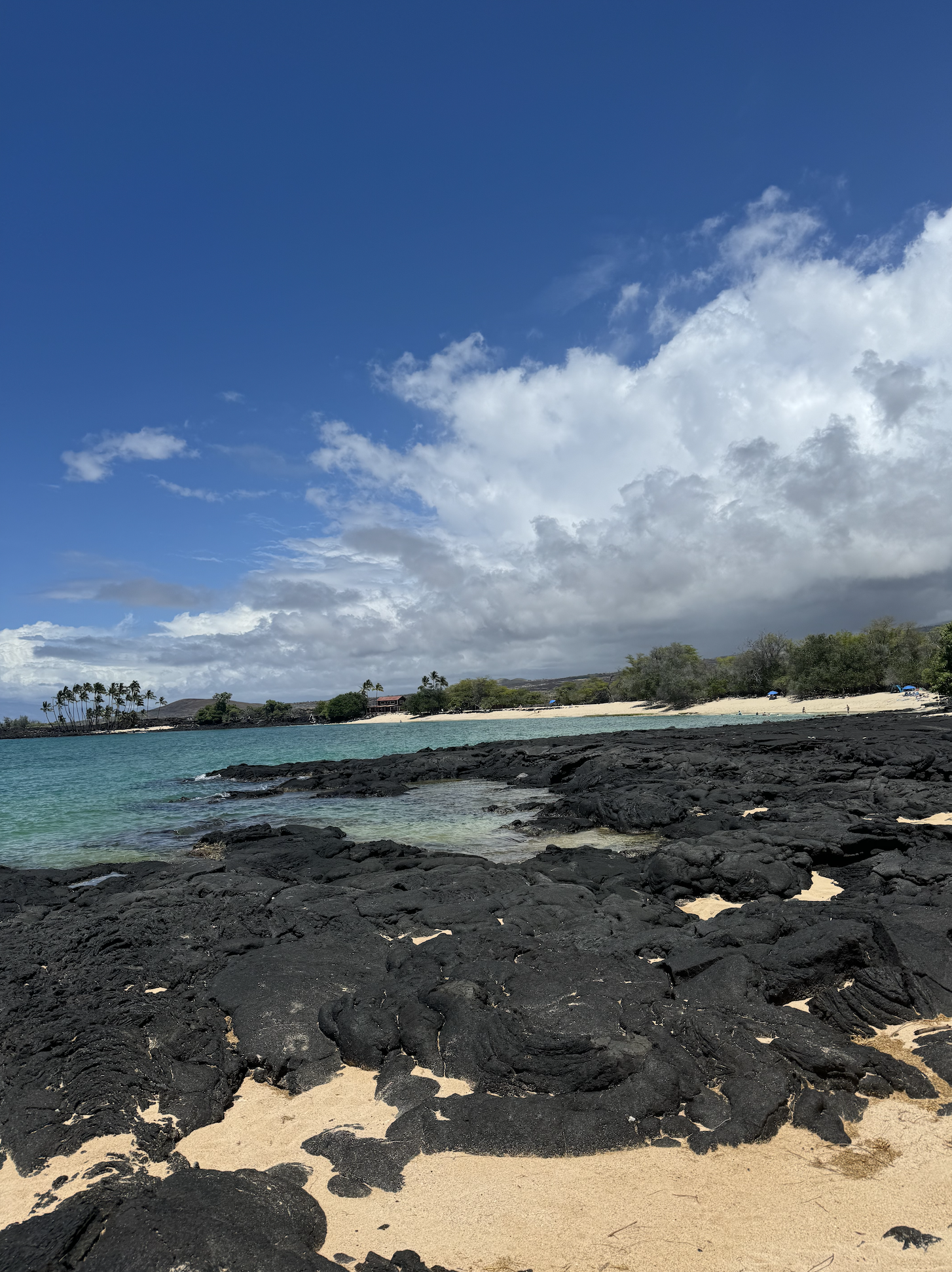 Screenshot 2024-10-02 at 2.24.20 PM.png