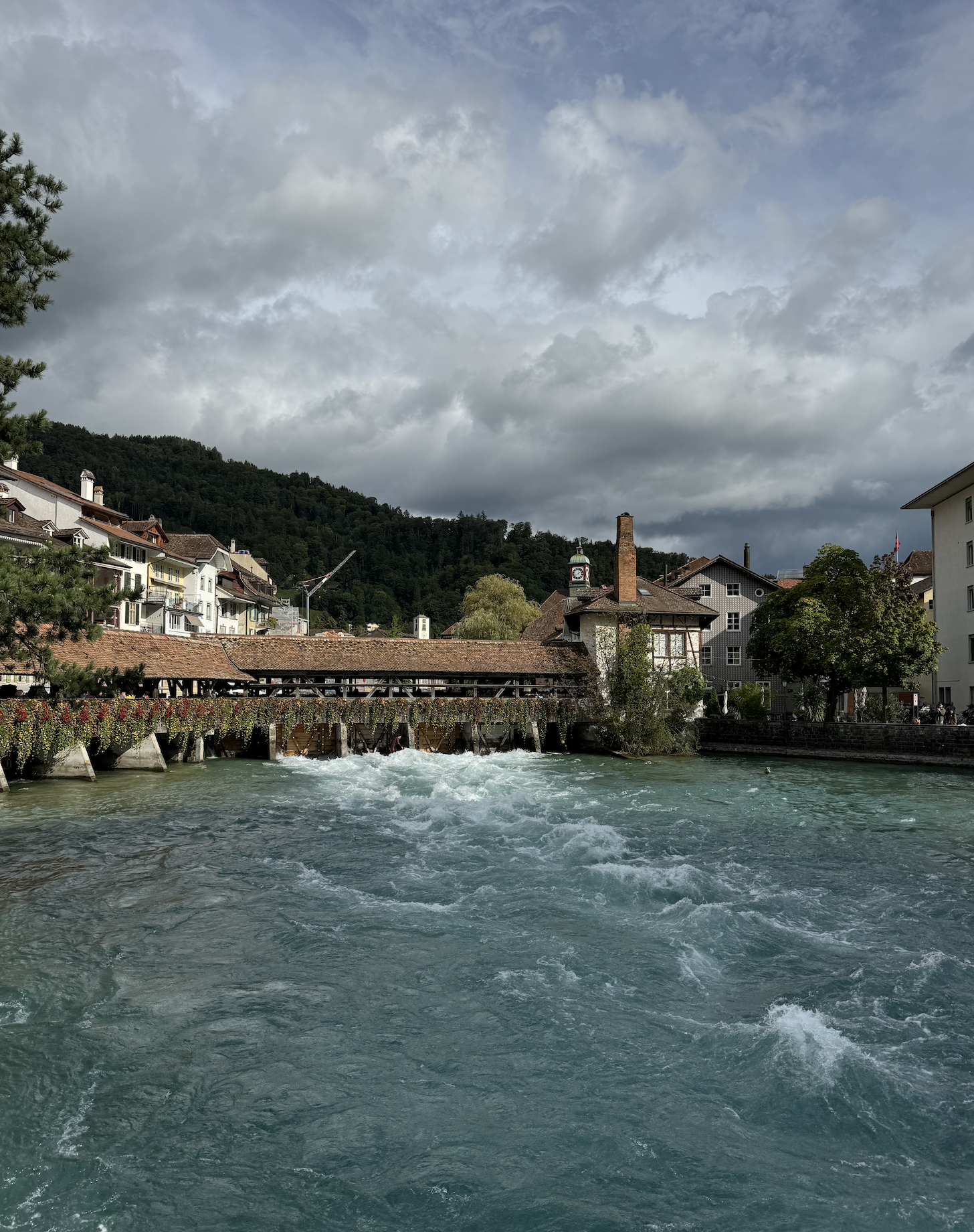 Screenshot 2025-12-15 at 7.26.35 PM.png