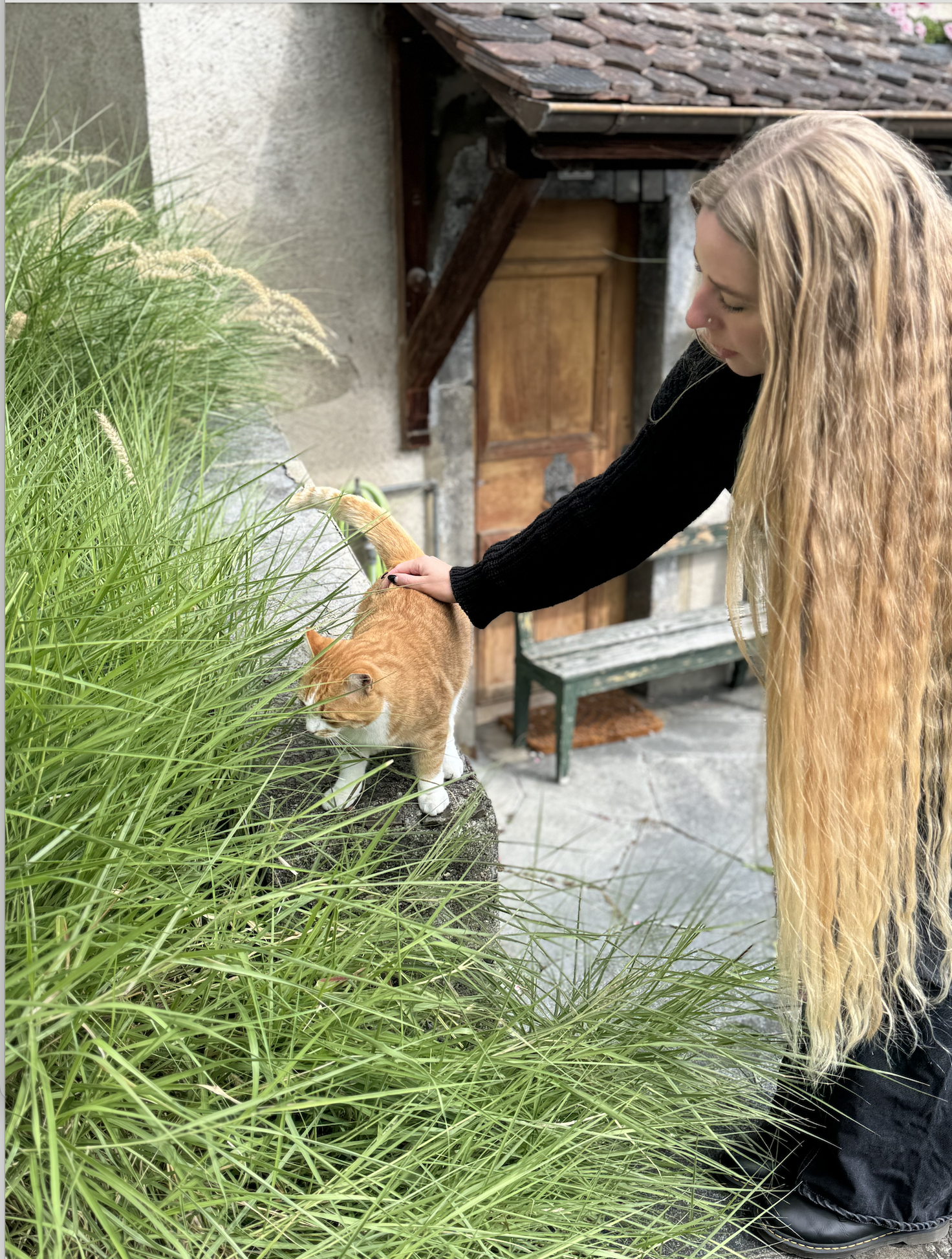 Screenshot 2025-12-15 at 7.27.07 PM.png