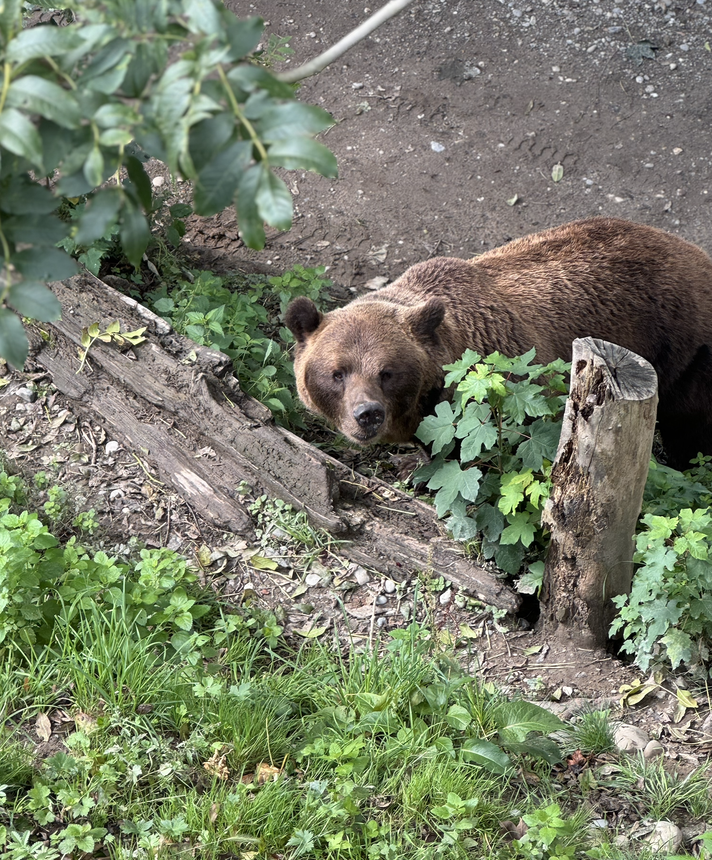 Screenshot 2025-12-15 at 7.37.53 PM.png