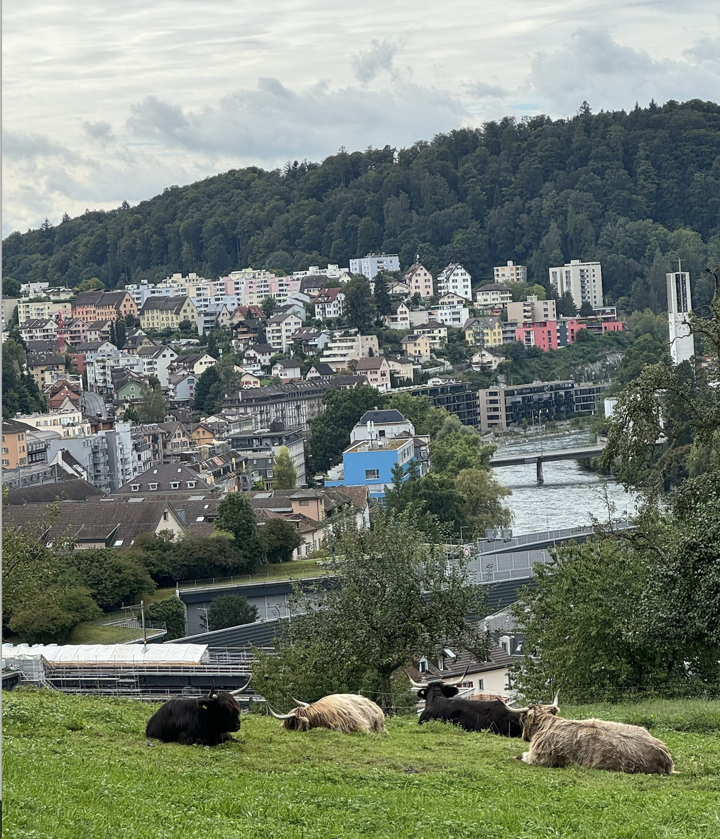 Screenshot 2025-12-15 at 7.46.20 PM.png