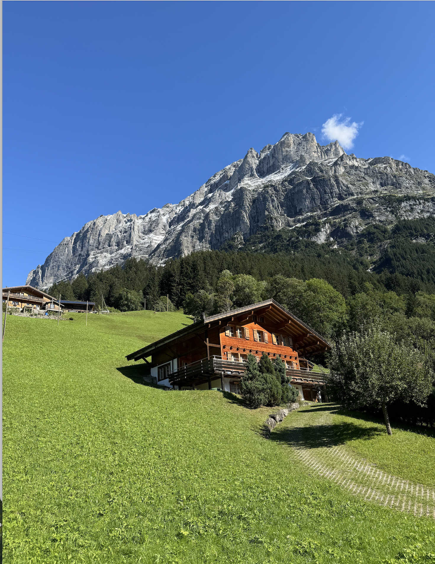 Screenshot 2025-12-15 at 7.52.16 PM.png