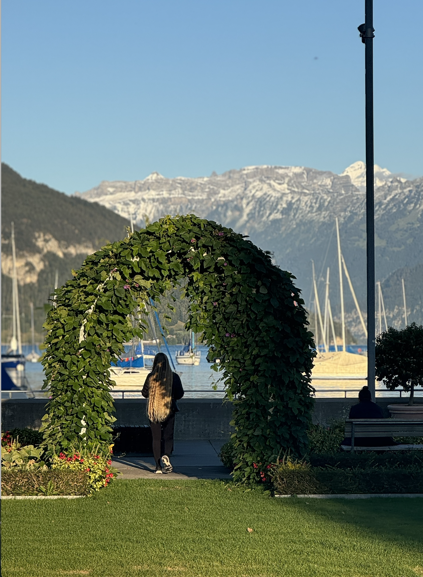 Screenshot 2025-12-15 at 7.52.49 PM.png