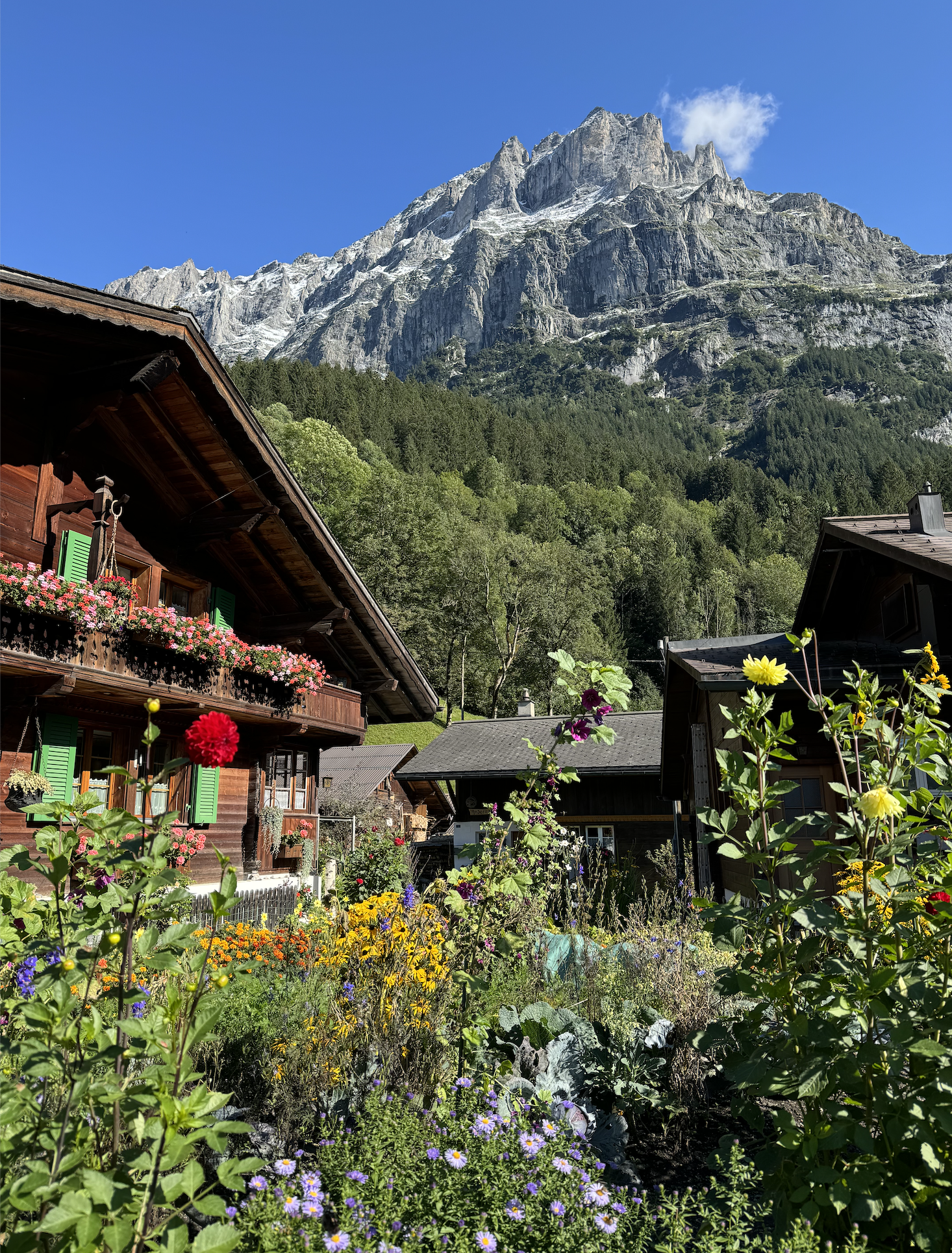 Screenshot 2025-12-15 at 8.05.41 PM.png