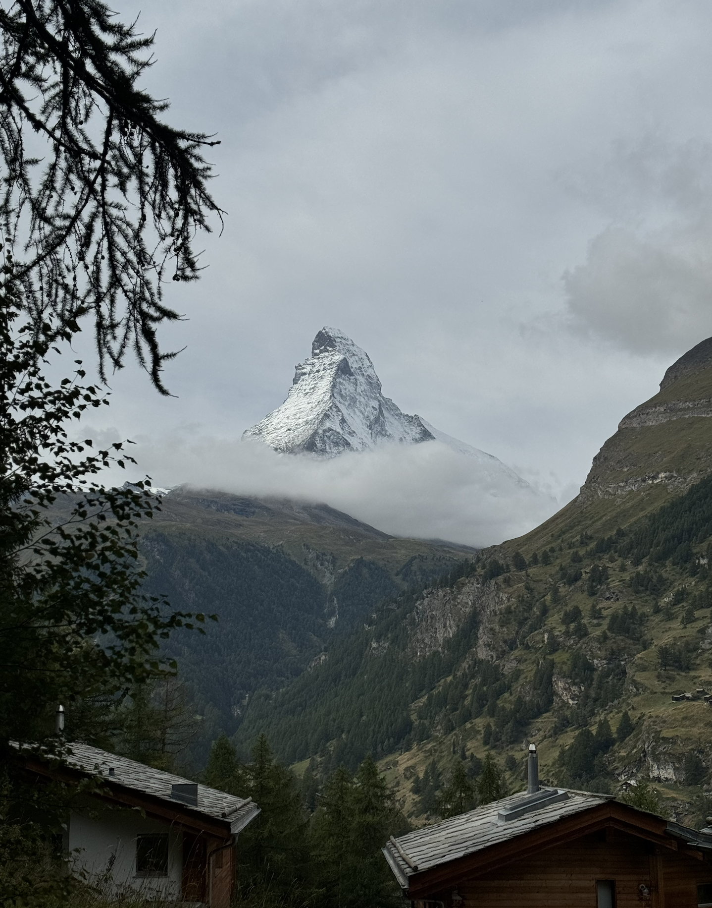 Screenshot 2025-12-16 at 2.29.23 PM.png