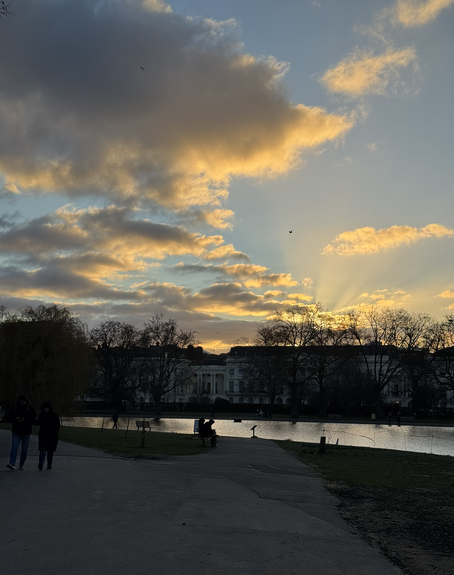 Screenshot 2026-01-12 at 7.31.36 PM.png