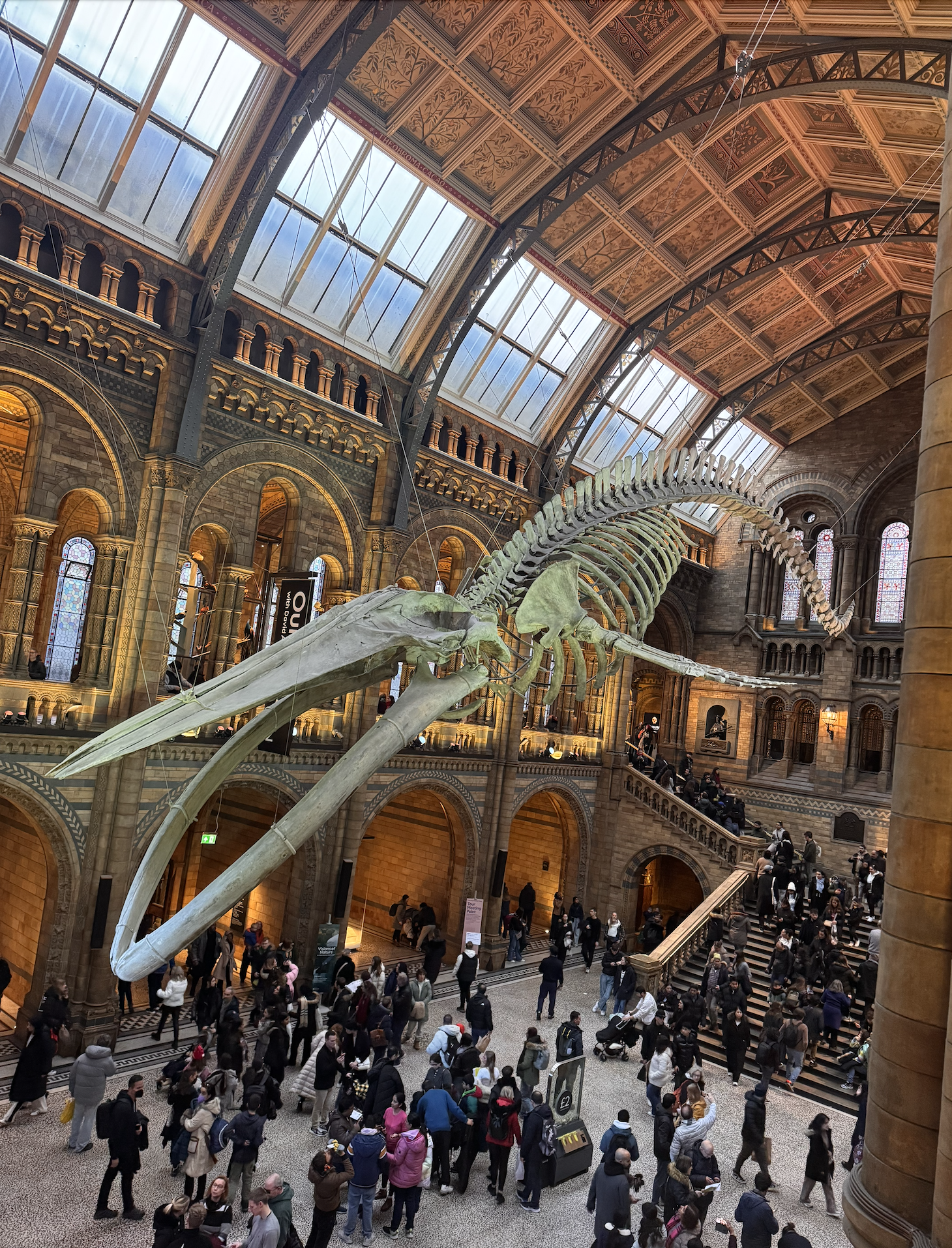 Screenshot 2026-01-12 at 7.42.23 PM.png