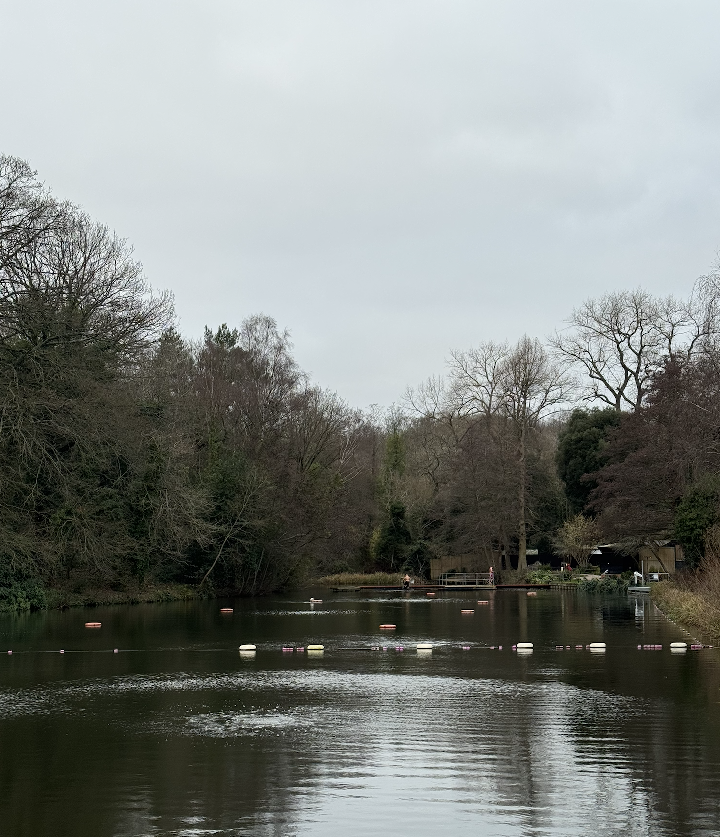 Screenshot 2026-01-12 at 7.45.52 PM.png