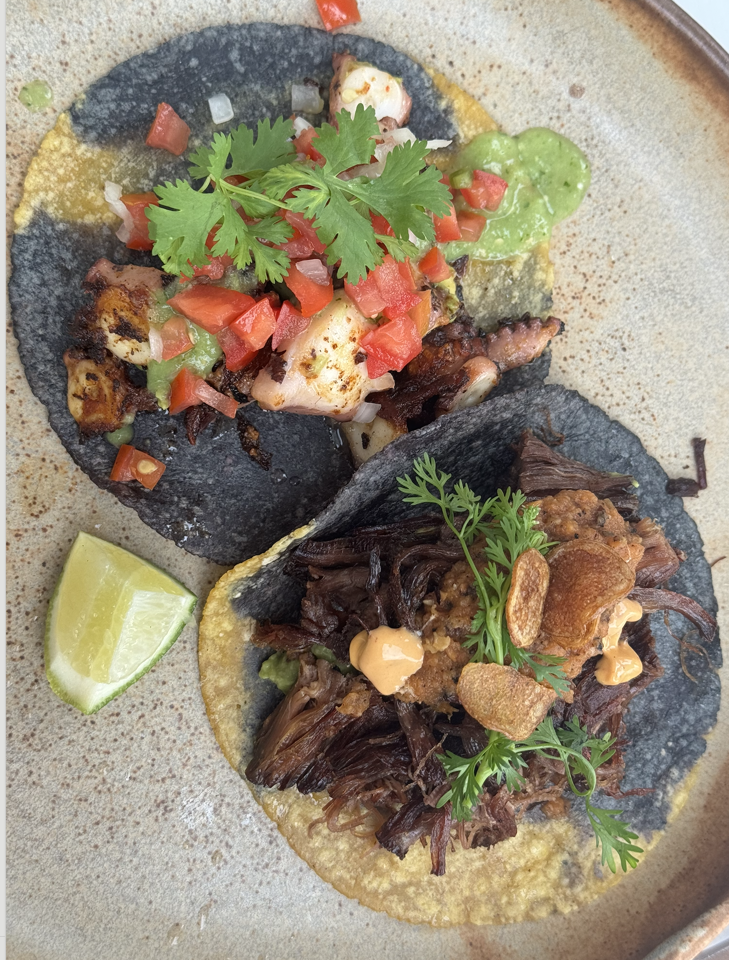 Screenshot 2026-01-20 at 5.22.03 PM.png