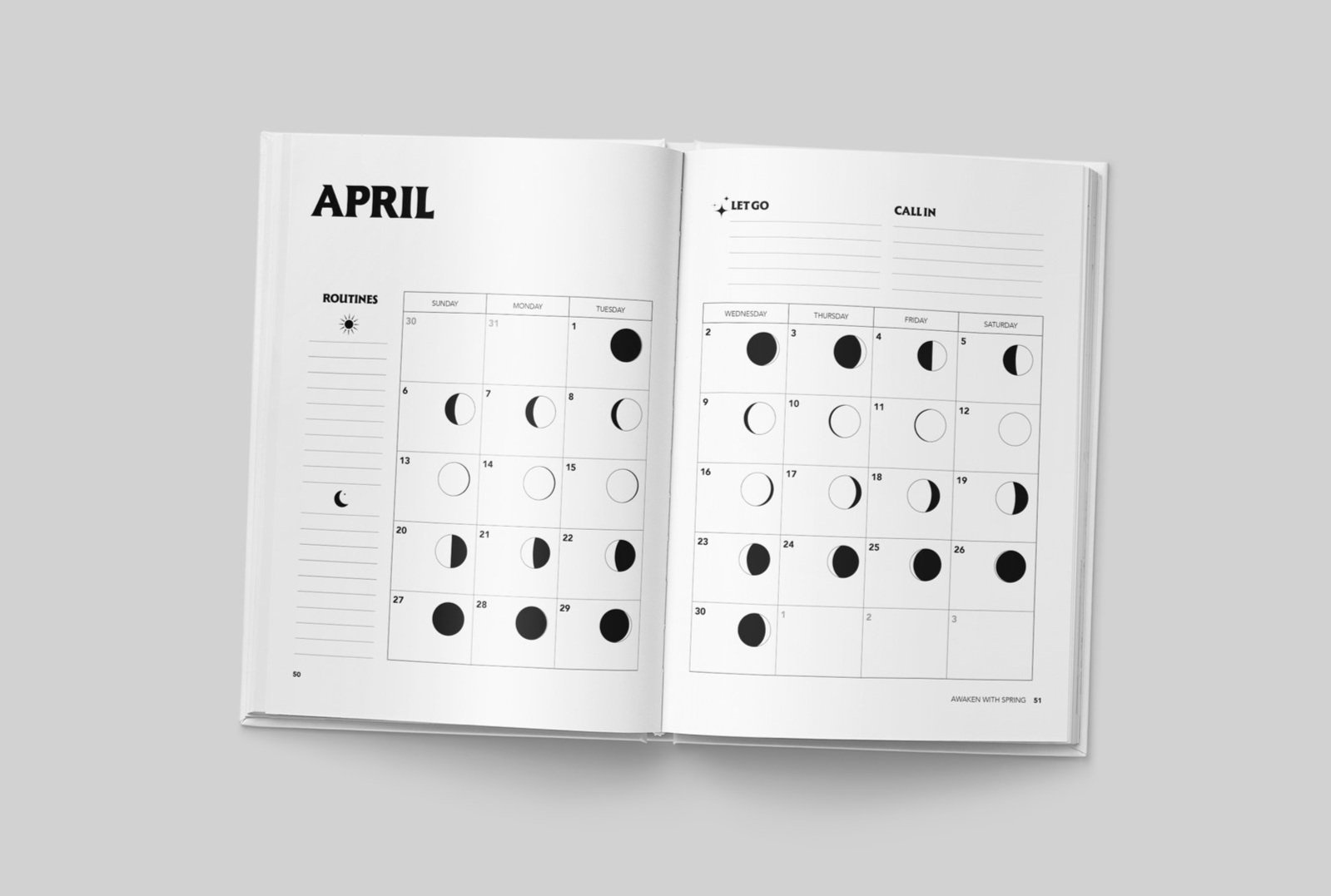 Planner Interior: Monthly Calendar