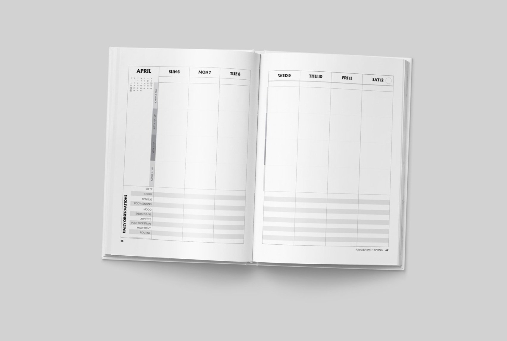 Planner Interior: Daily Planner