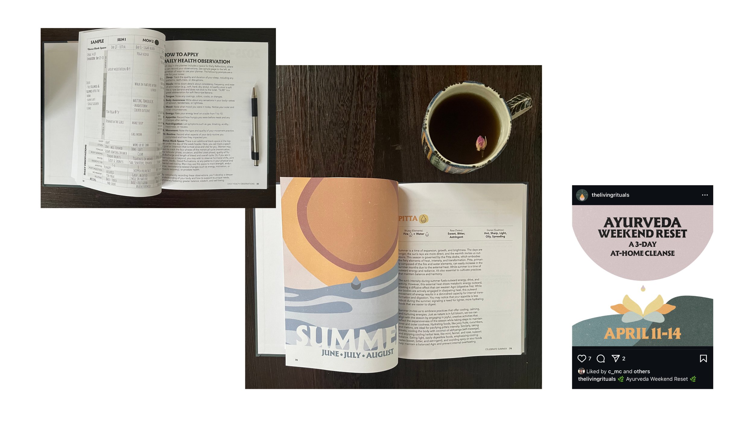 Visual Brand Extension: Planner Interior and Social Post