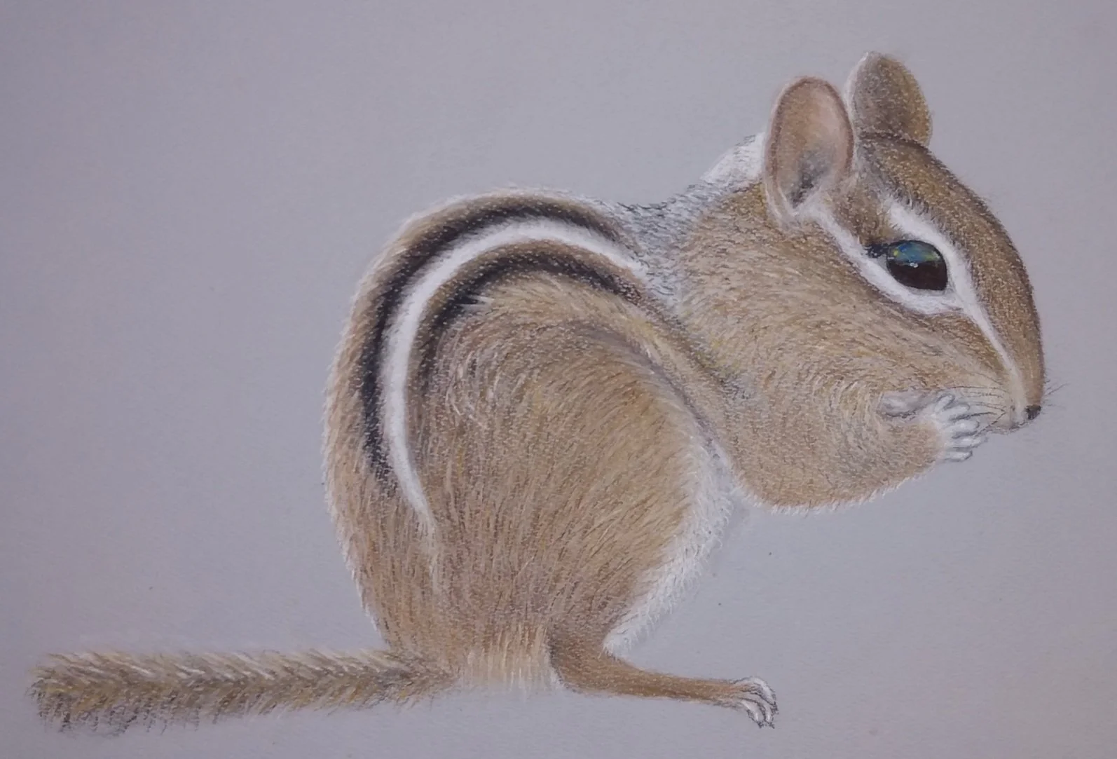 Pastel pencils