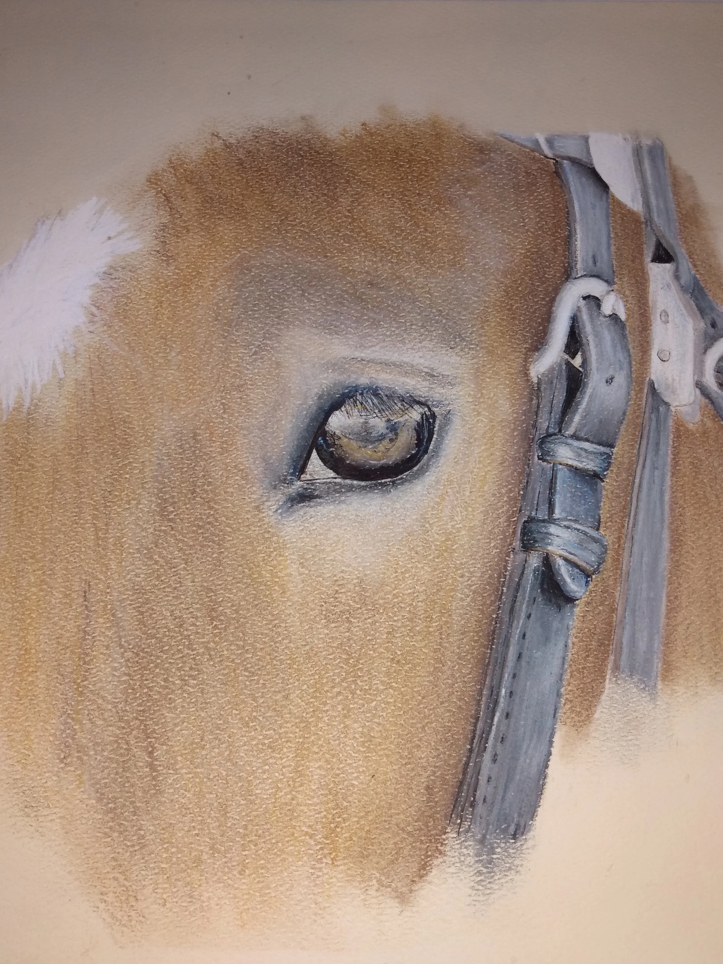 Pastel pencils
