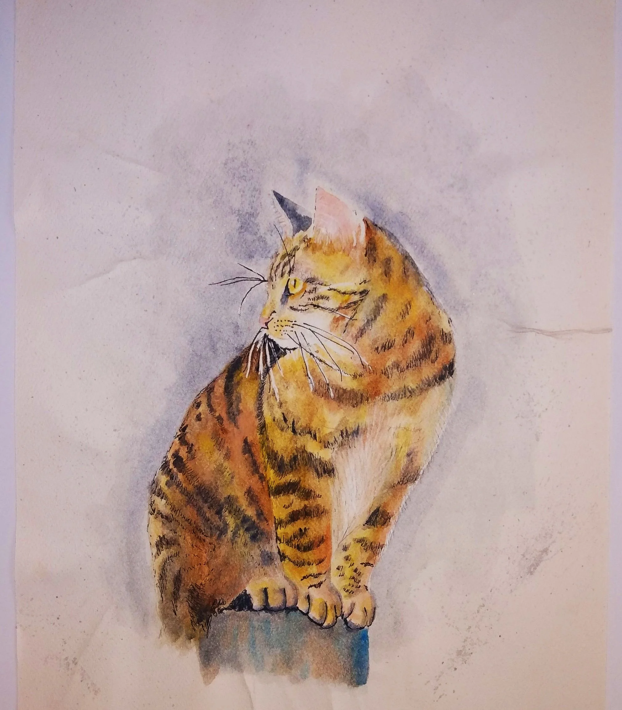 Line and wash