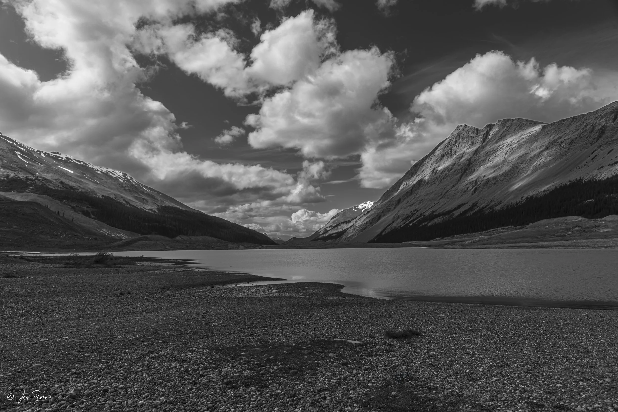 Sunwapta Lake.jpg