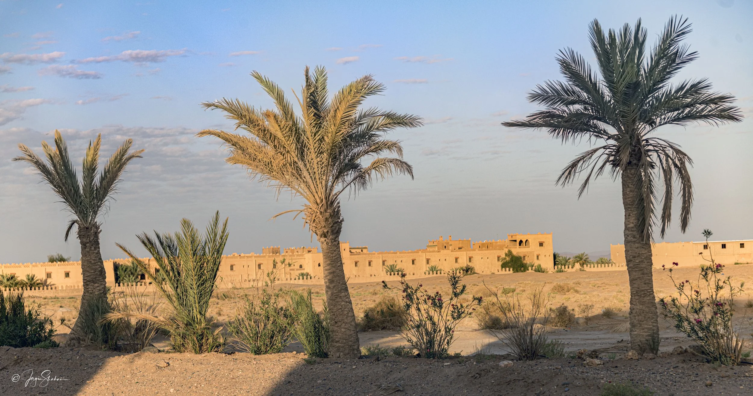 Three Palms Erfoud.jpg