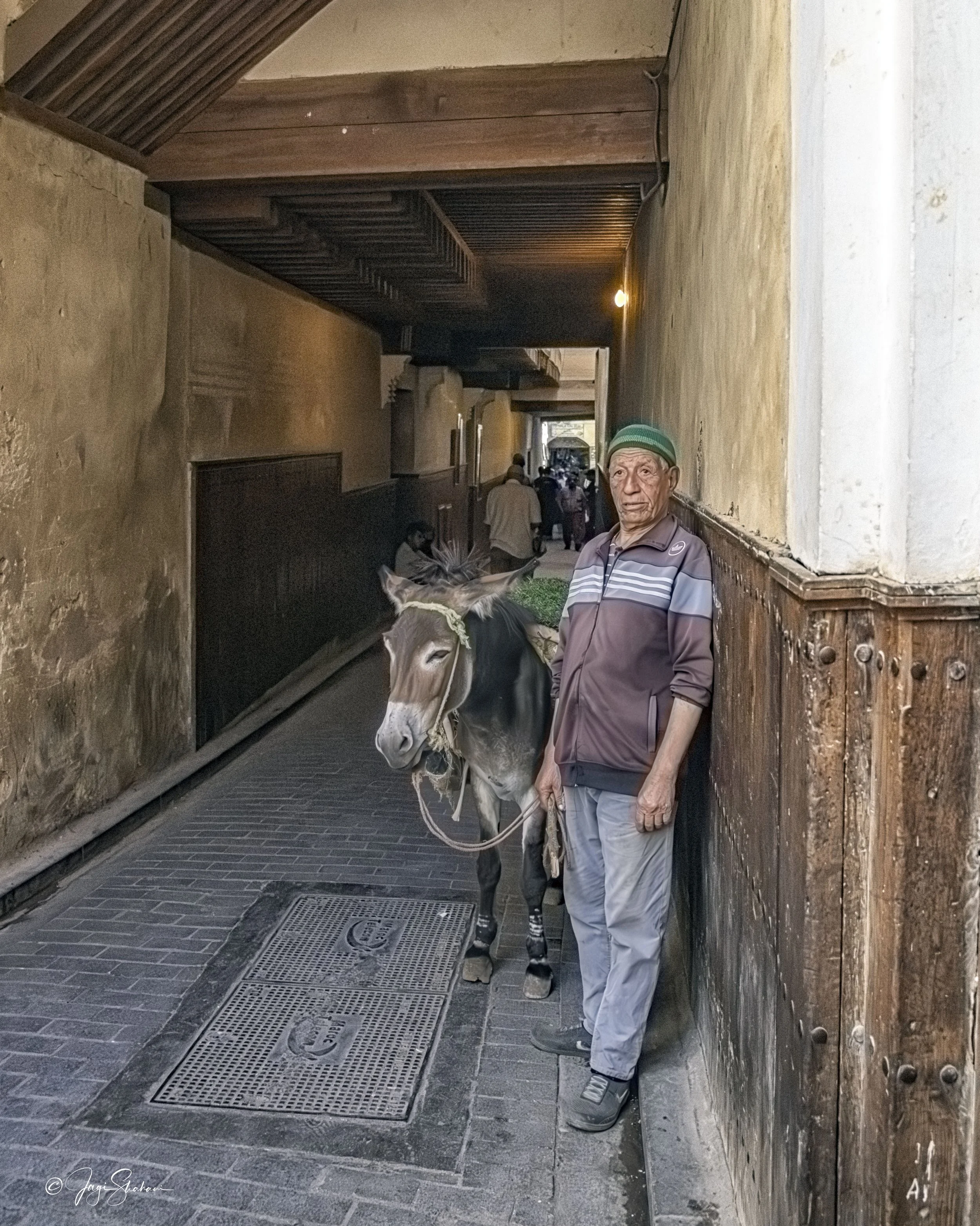 A_Man_And_His_Donkey_Marrakech Medina.jpg