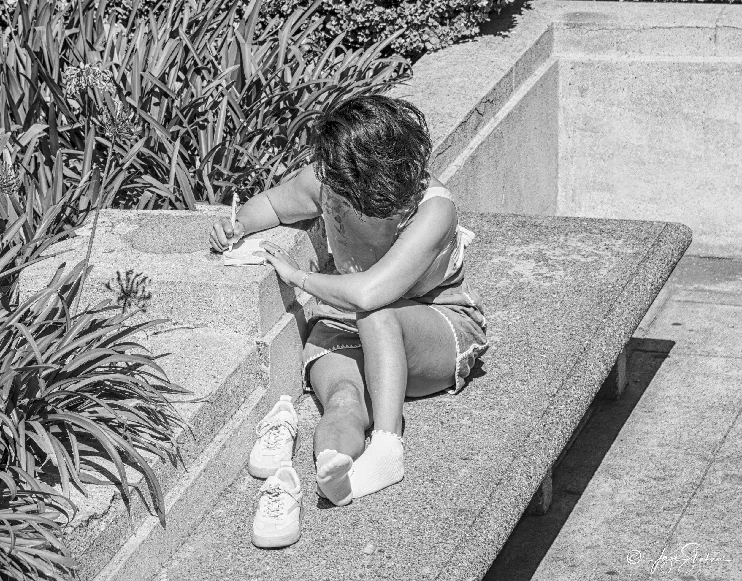 Writer Extraordinaire