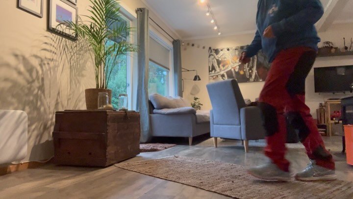 Markeringstrening :-)
#kennelometyst #ometystkennel #detectiondog #canishundeskole #workingspringerspaniel #workingspringer #spesials&oslash;k #spesials&oslash;kshund