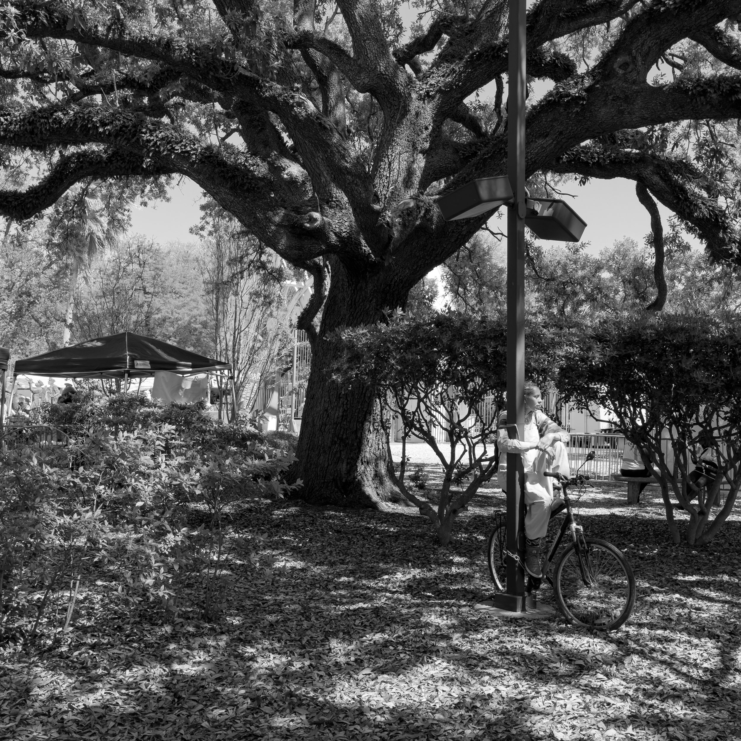 2024_03 NOLA-2747.jpg