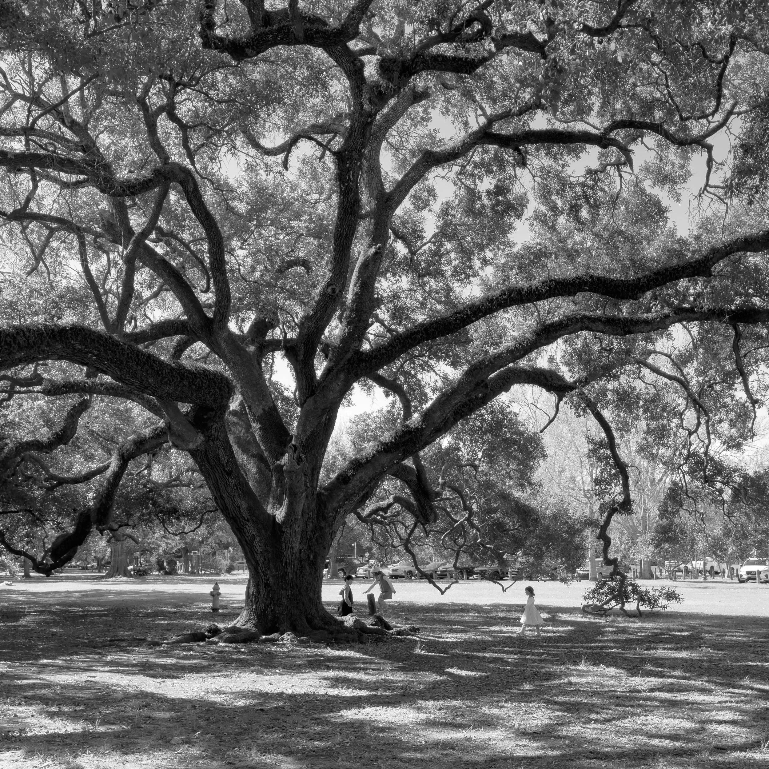 20260116-2026_01_ NOLA-0940.jpg