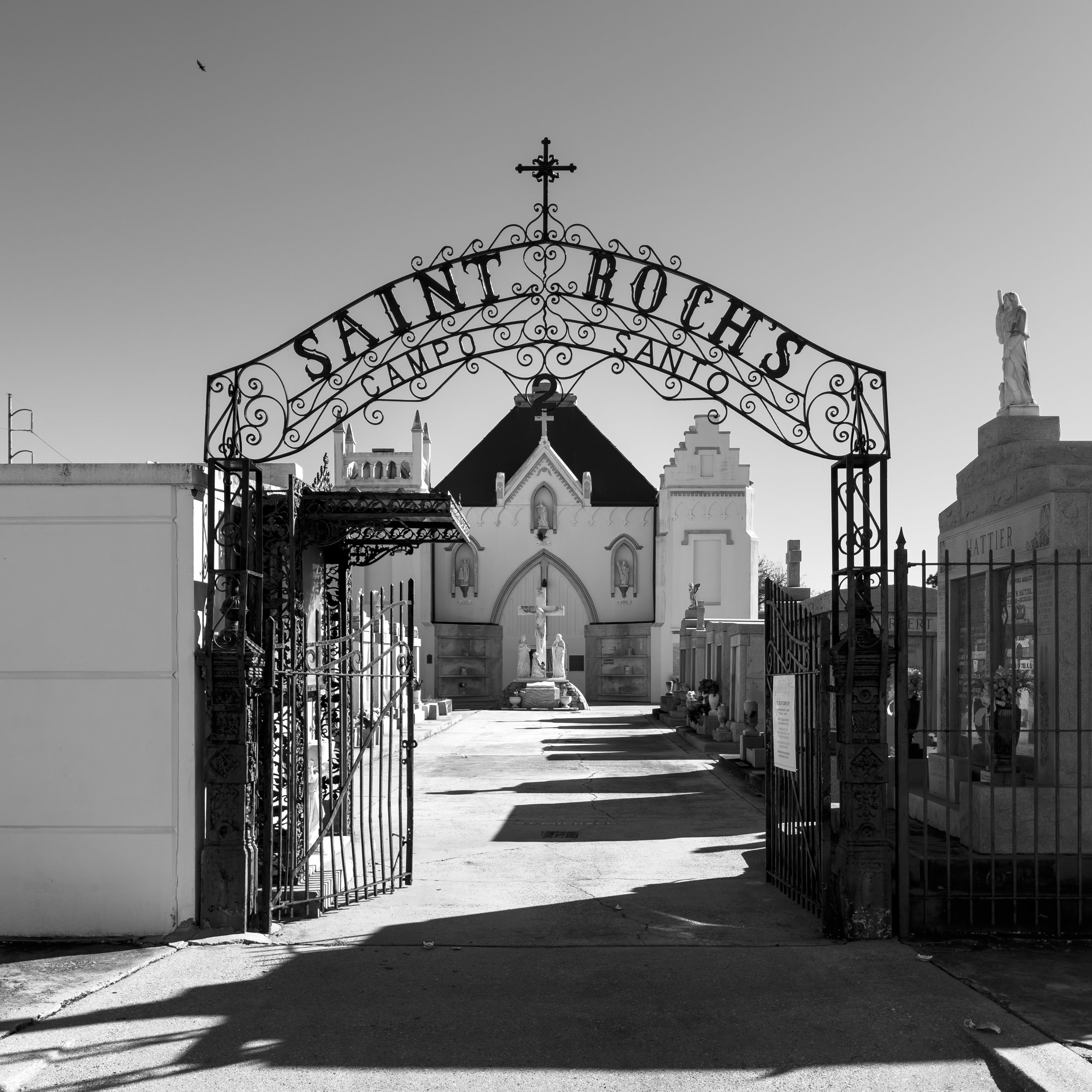 20260115-2026_01_ NOLA-0788.jpg