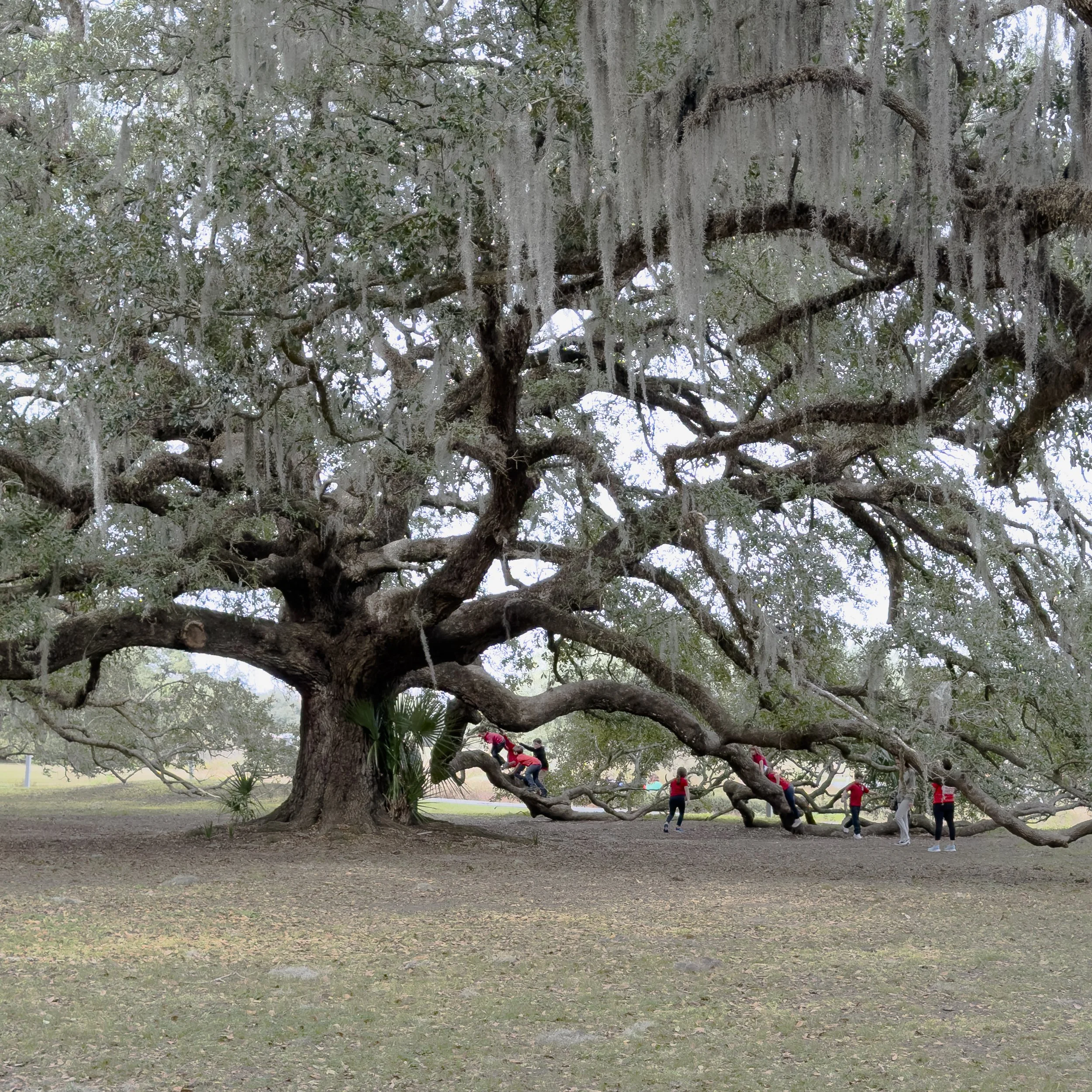 20260121-2026_01_ NOLA-1593.jpg
