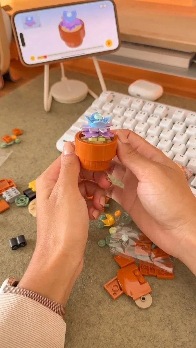 Cozy LEGO Sets on My Wishlist