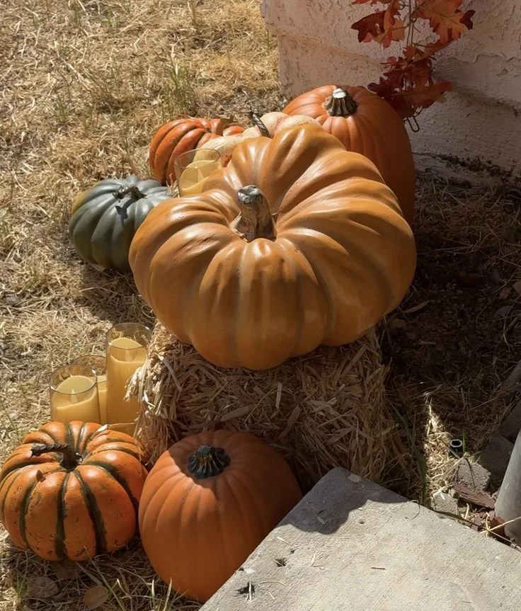 How to Add Whimsy to Each Season: Fall Edition