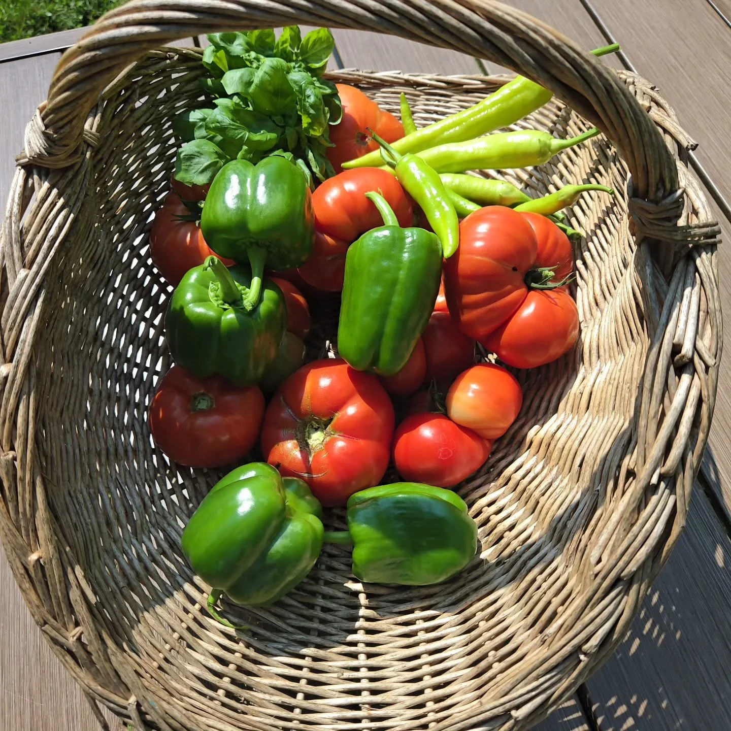 🍅🫑🌶️

Happy Summer, all ❤️
