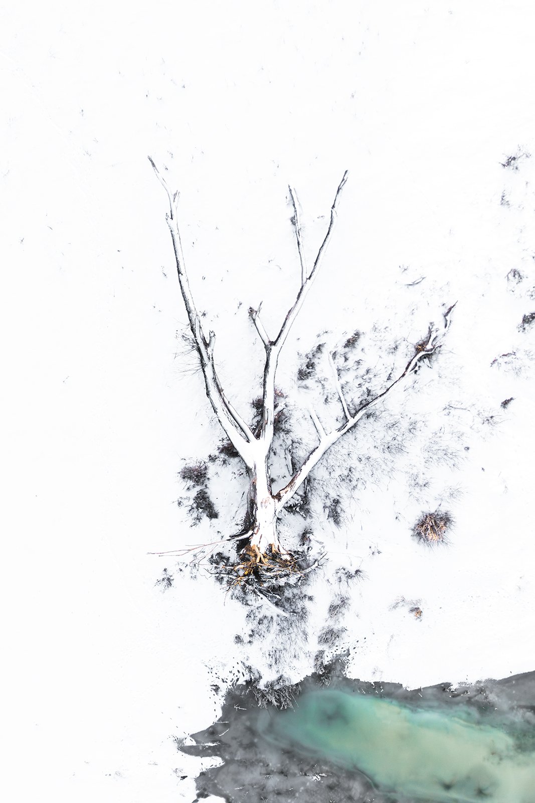 Wildlife-Photography-PTDZ-Poland-x26.jpg